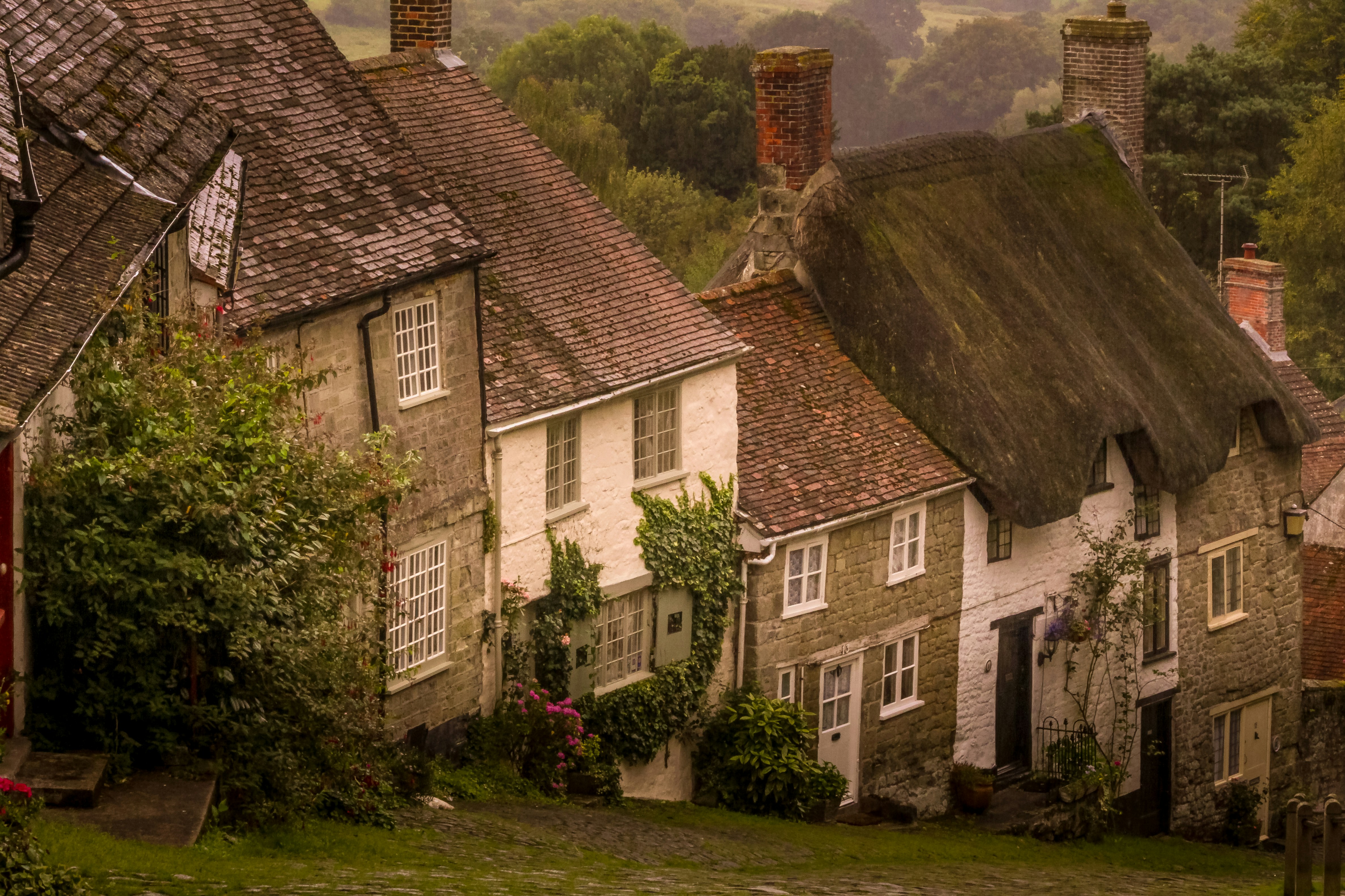 Photo by jannerboy62