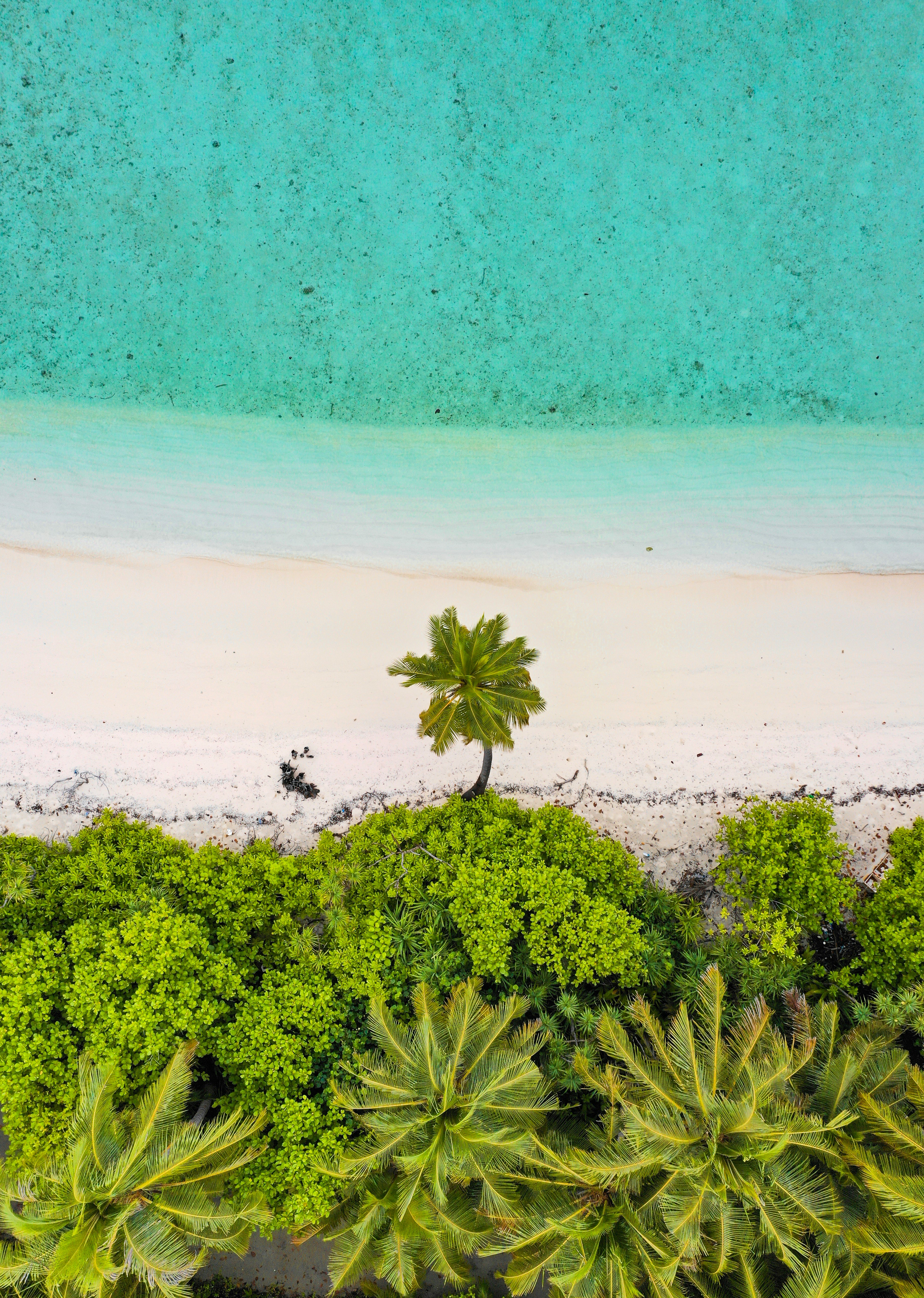 aerial photograph of island