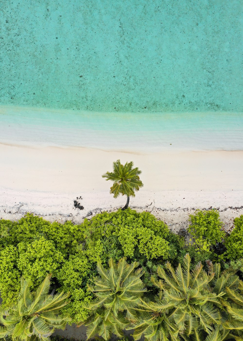 aerial photograph of island