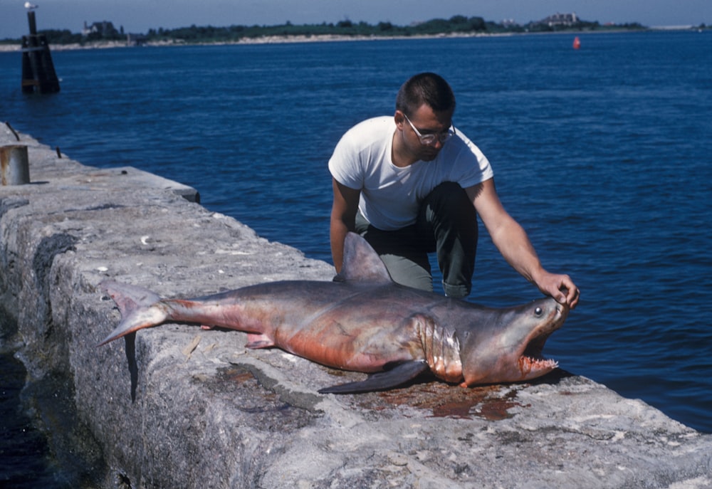 man sitting beside shark