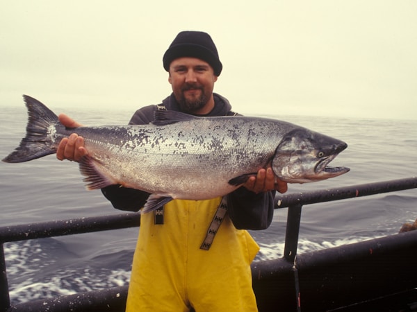 Atlantic Salmon Fillet