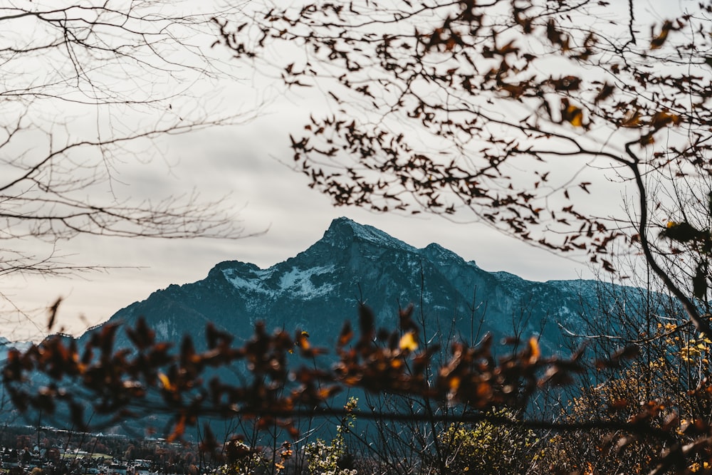 grey mountain during daytime