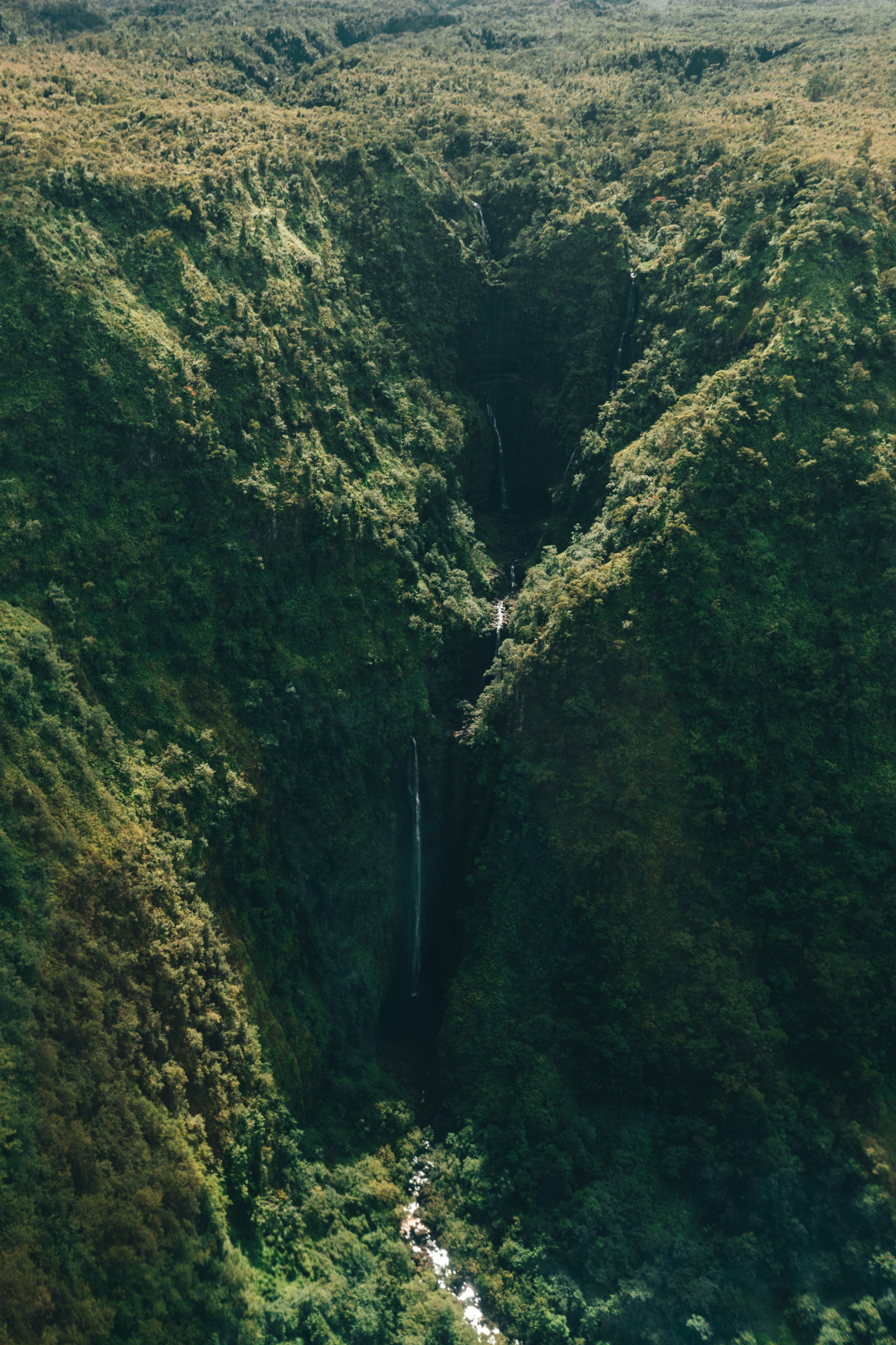 Photo by spencerdavis