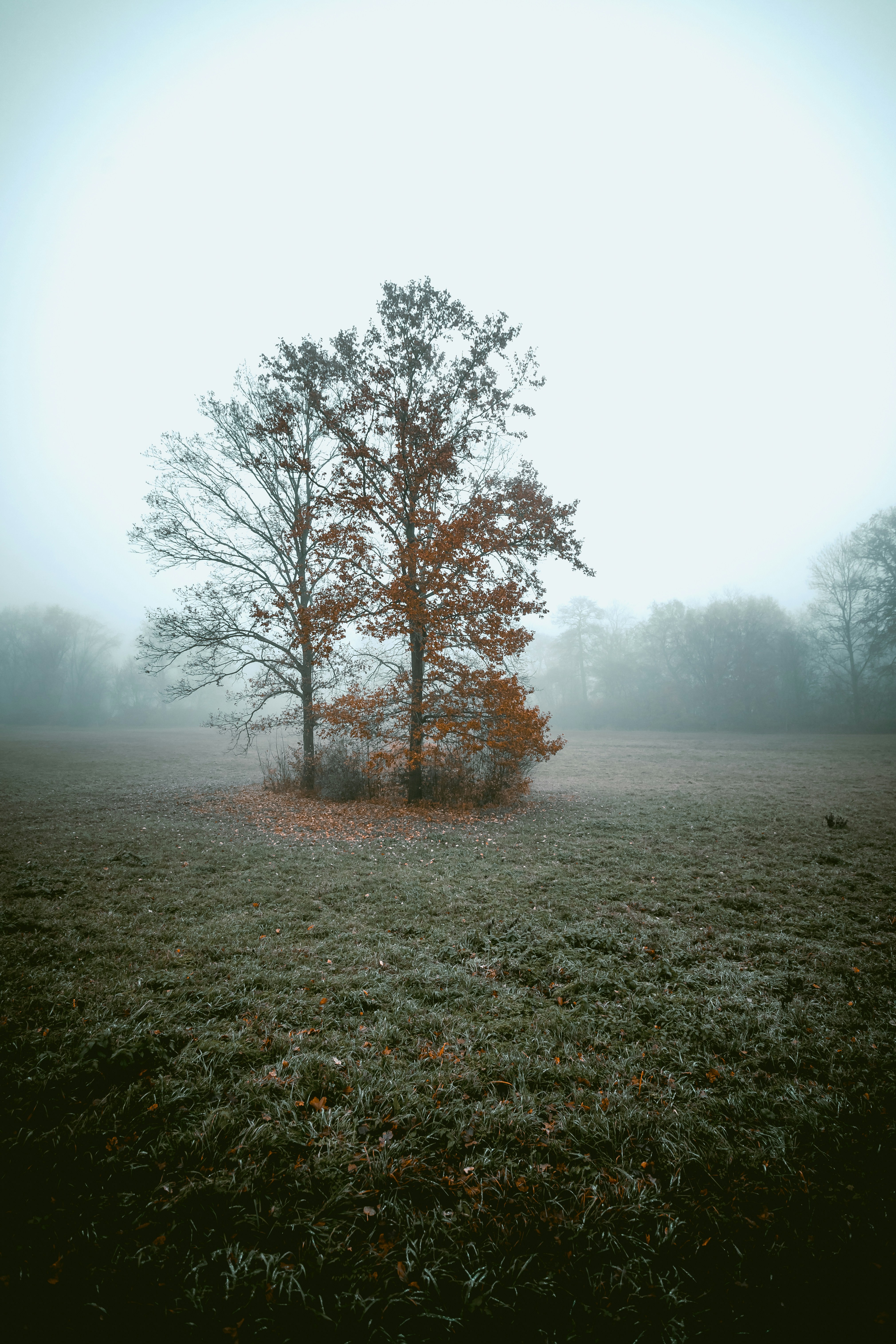 Photo by niklas_hamann