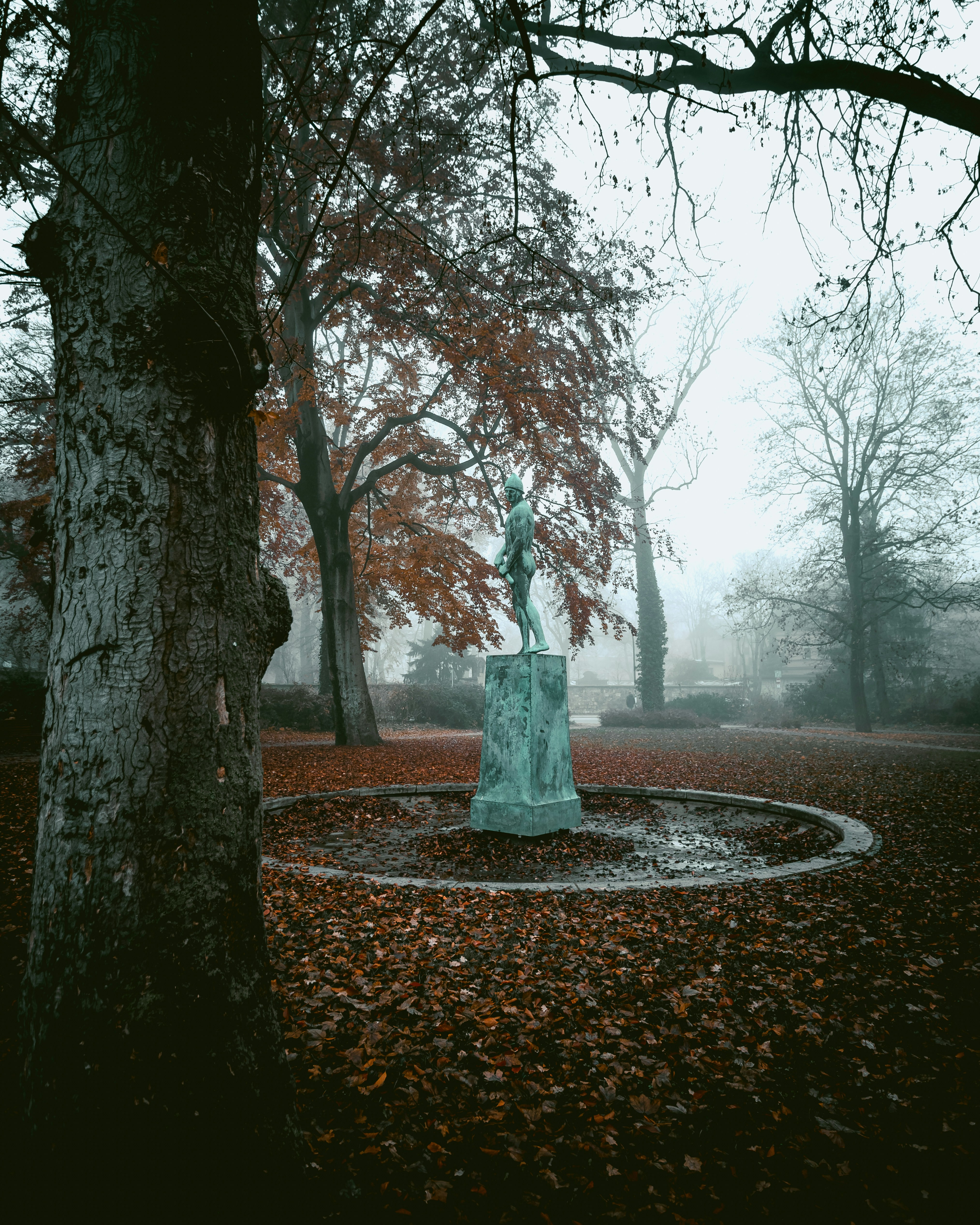 Photo by niklas_hamann