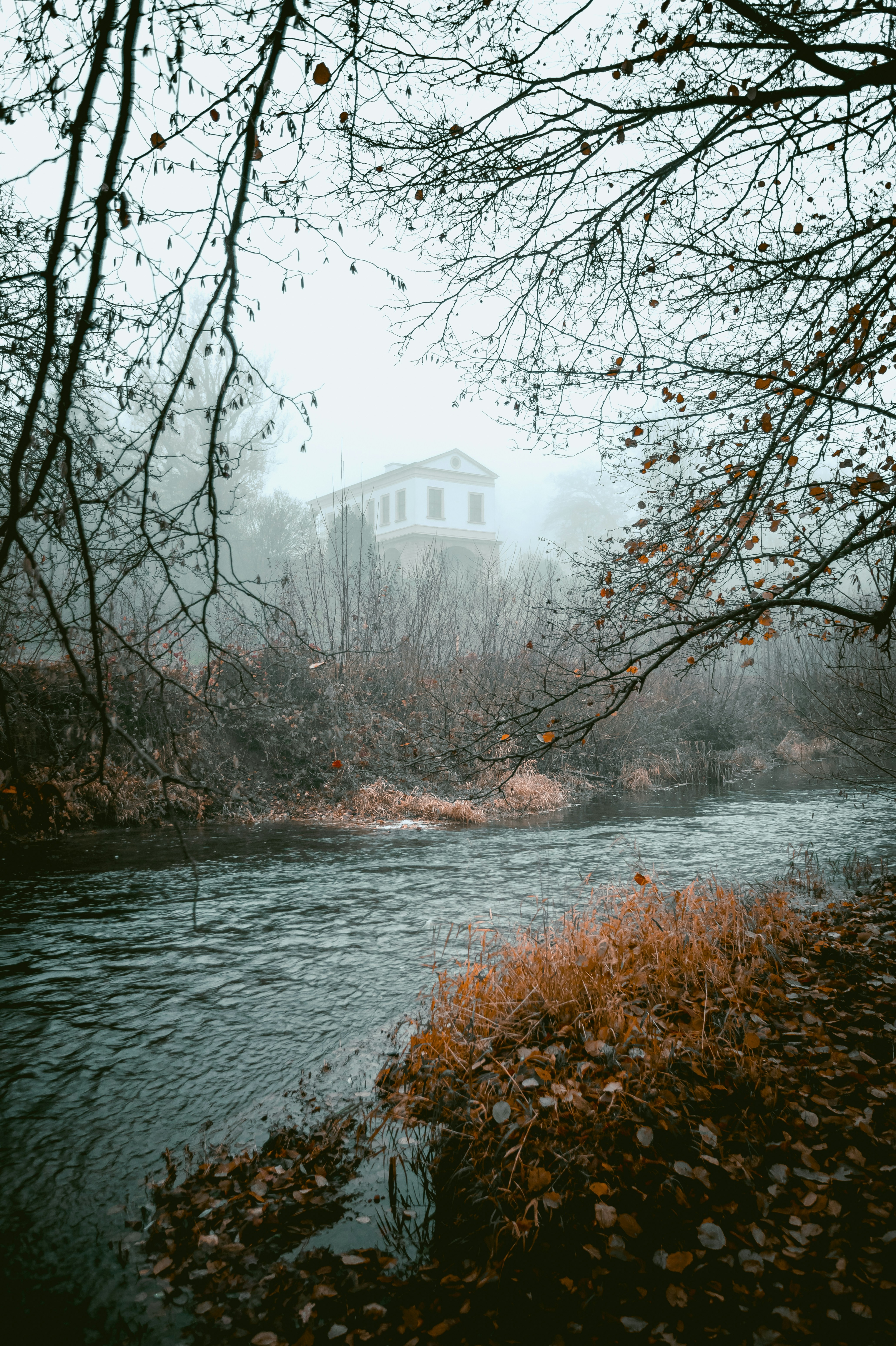 Photo by niklas_hamann