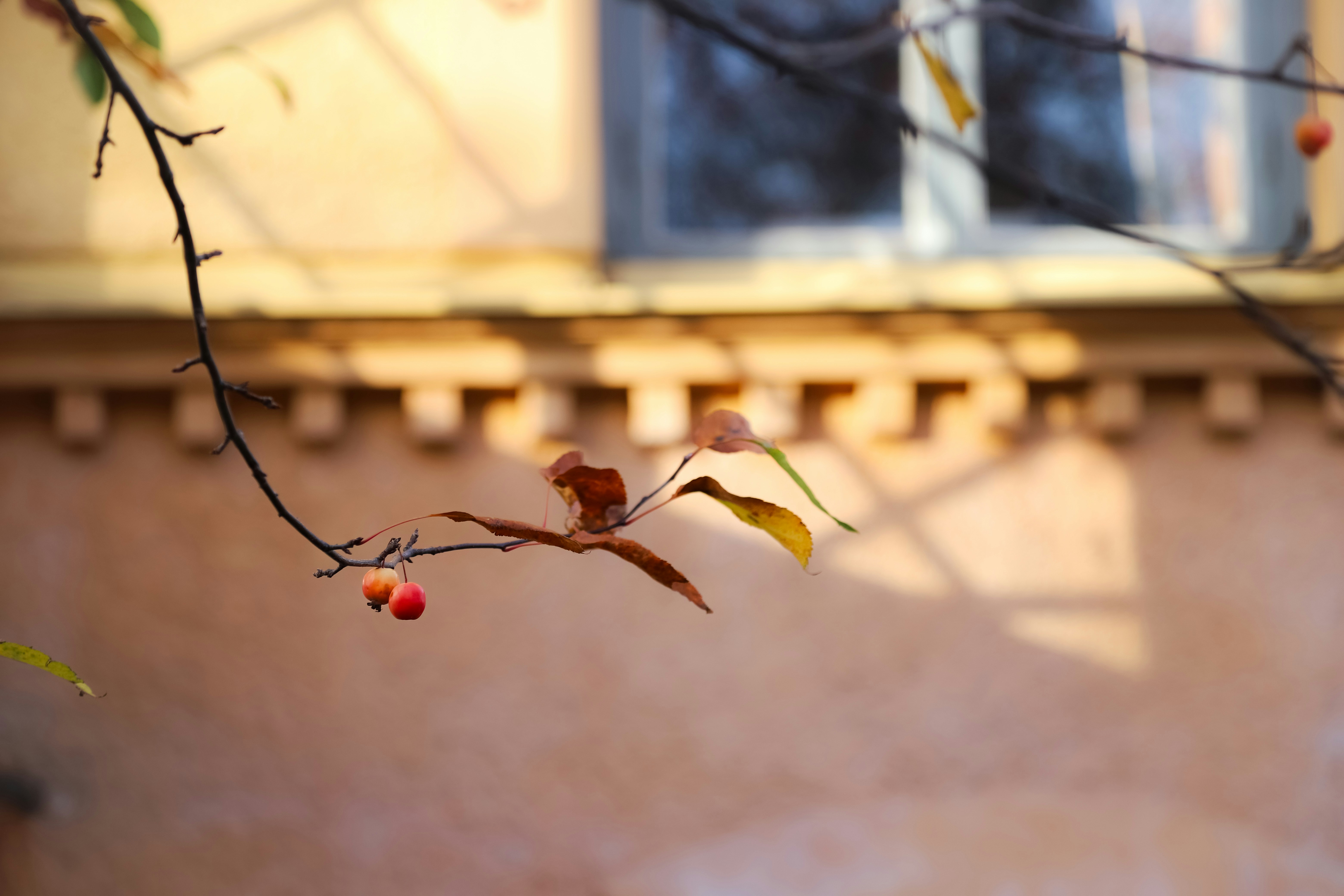 Photo by outimarjaana