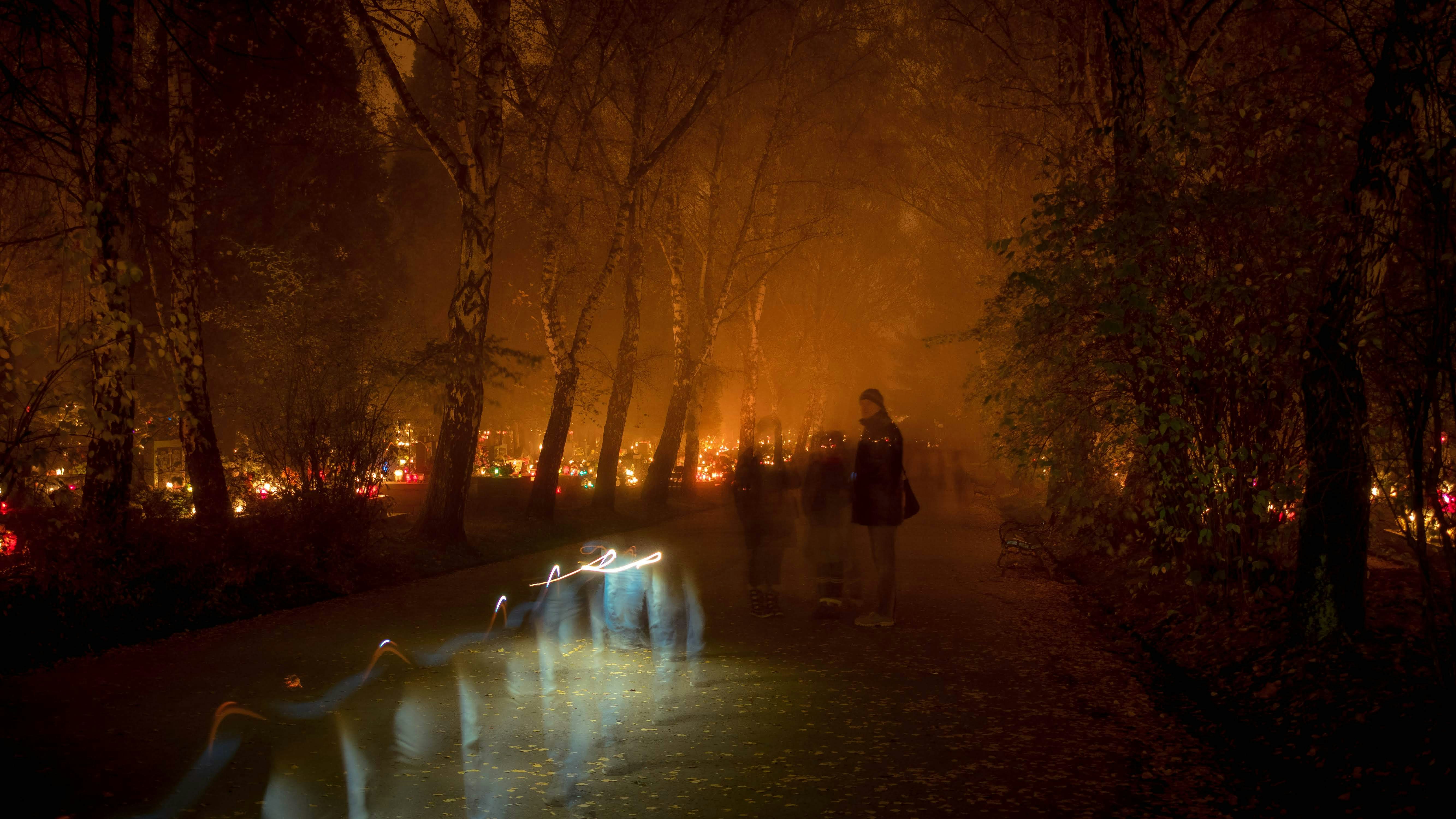 bruciare alberi durante la notte
