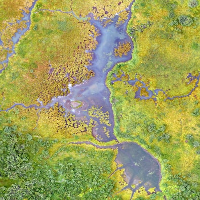 aerial photography of calm body of water