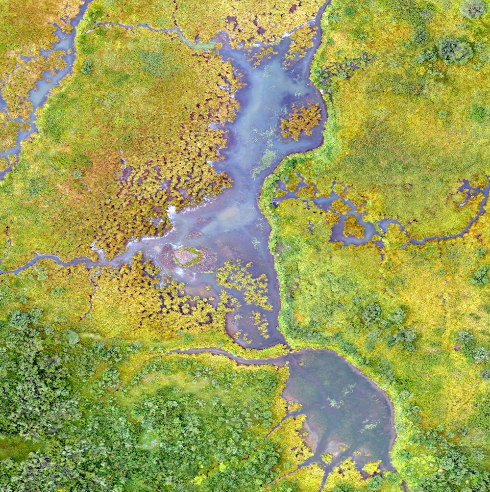 Fotografía aérea de un cuerpo de agua en calma