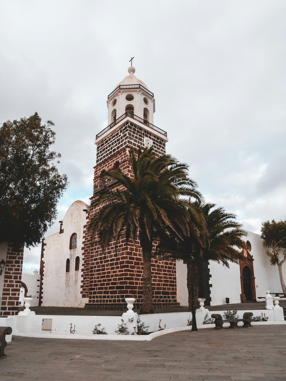 palm trees beside church