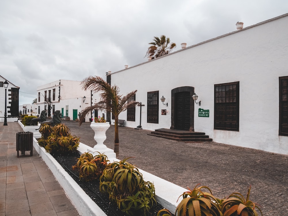 white concrete buildings during daytime