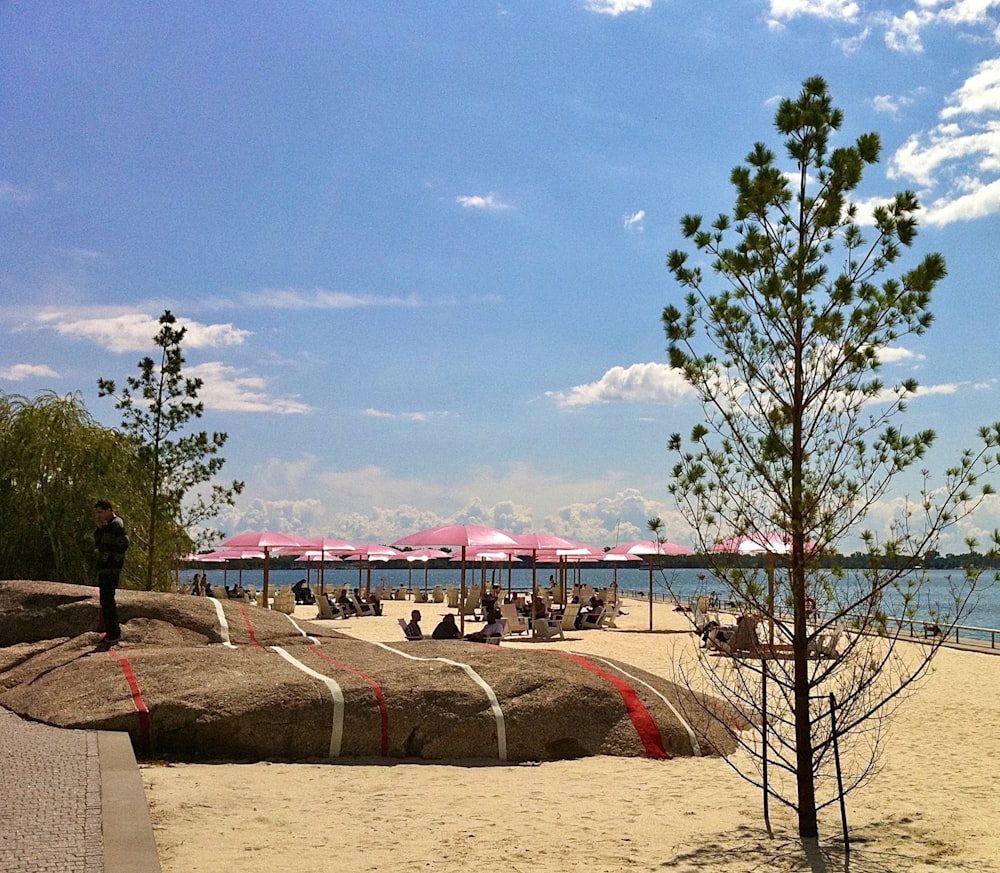 people near seashore during daytime