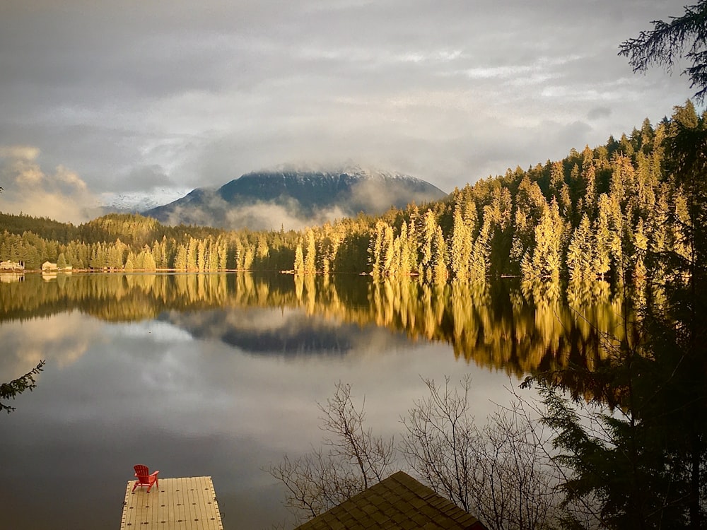 calm body of water during daytime