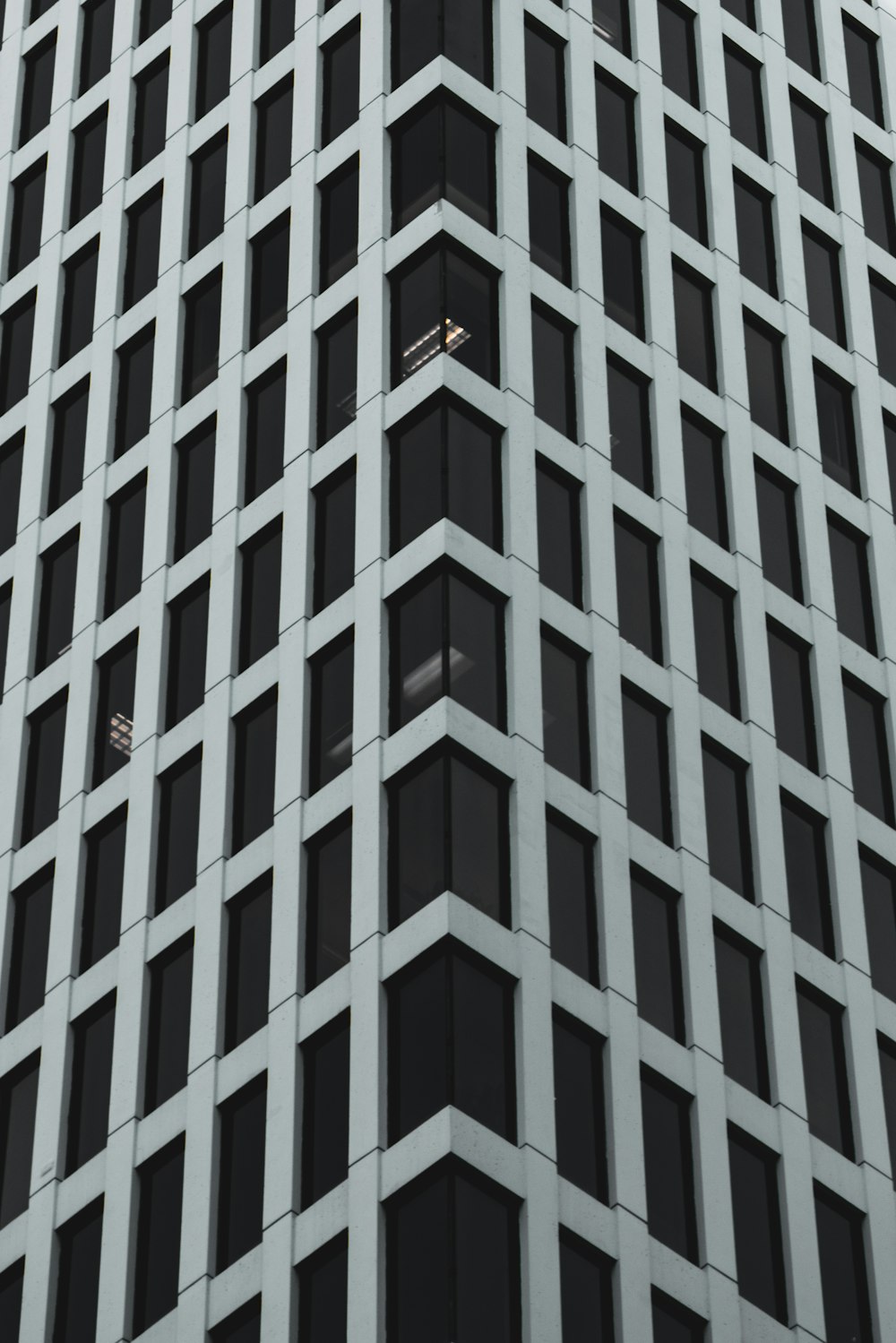 Edificio blanco y negro de ángulo bajo