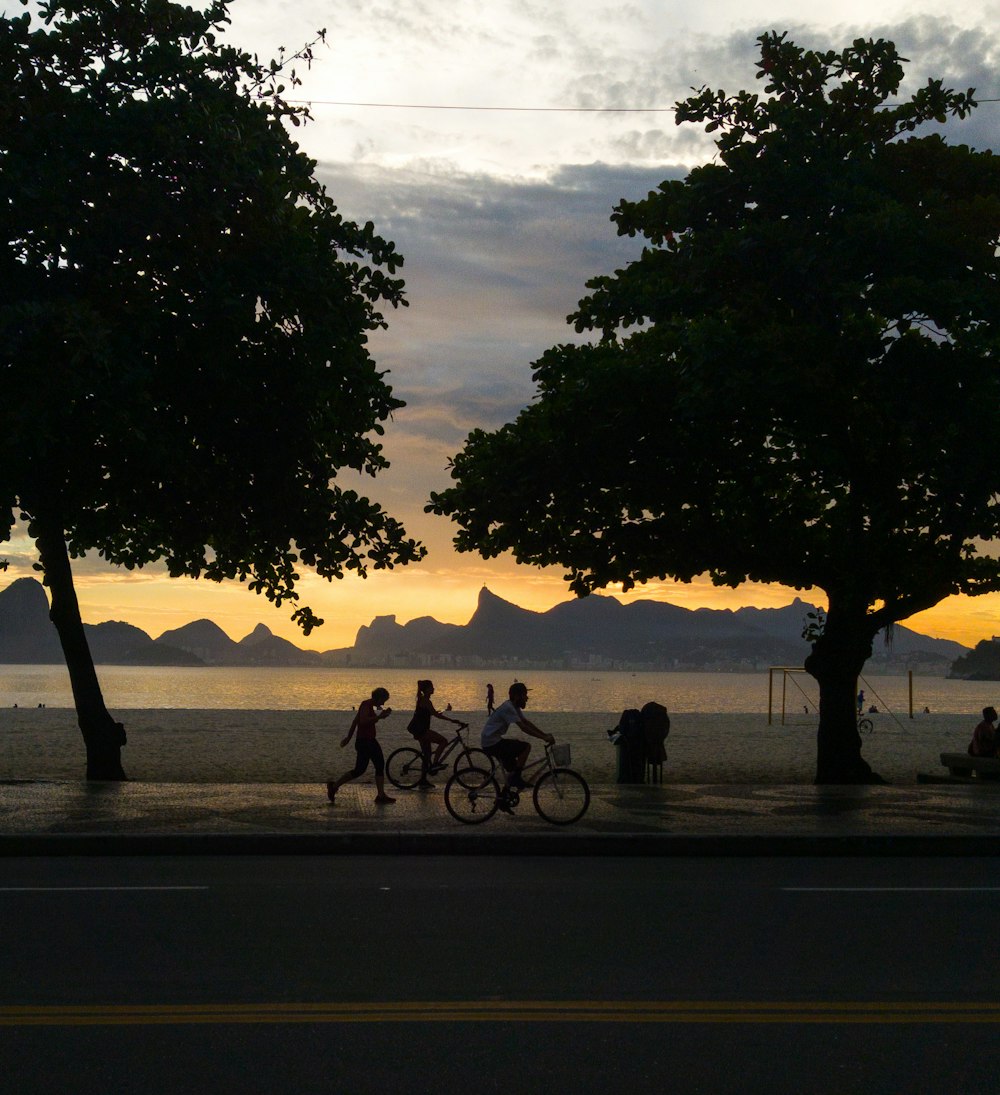silhouette photography of people riding on bicycle