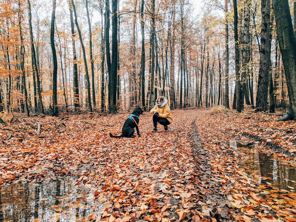 person in front of black dog on pathway with leaves