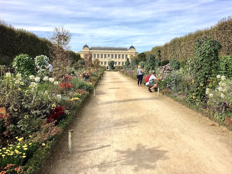 A well-maintained garden pathway flanked by lush green hedges and a variety of vibrant flowers, leading to a historical building in the distance. Several people are seen admiring and tending to the plants.
