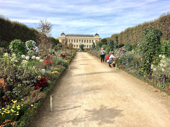 Portrait of Marcus Bergin tending to a vibrant garden in Gloucestershire.