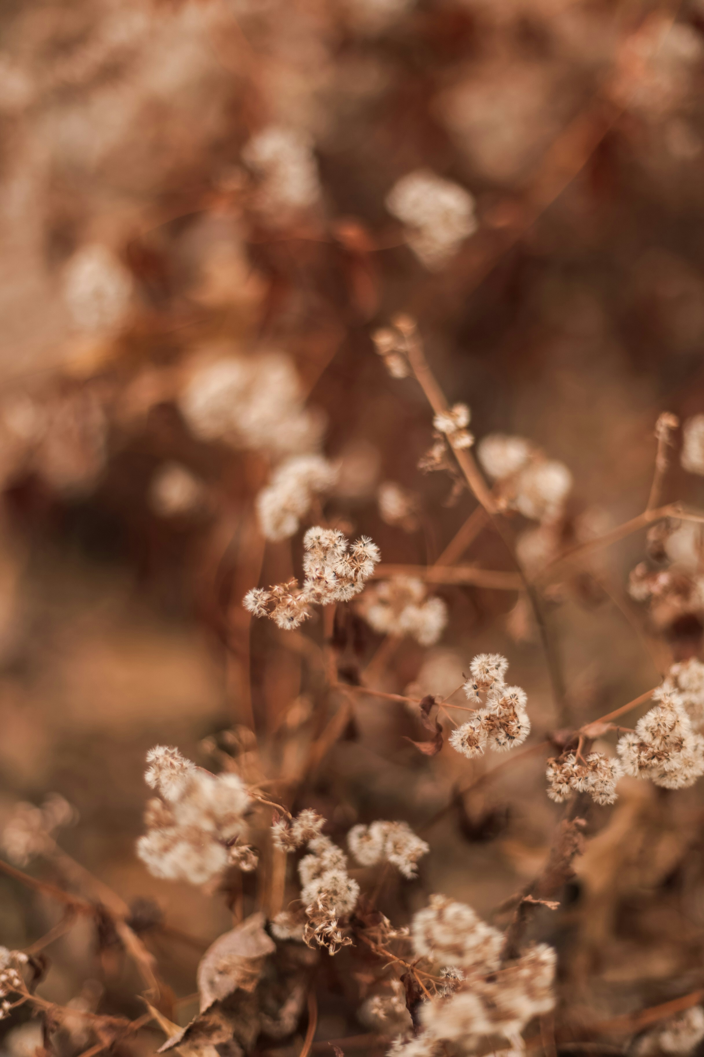 Photo by jessicalfadel