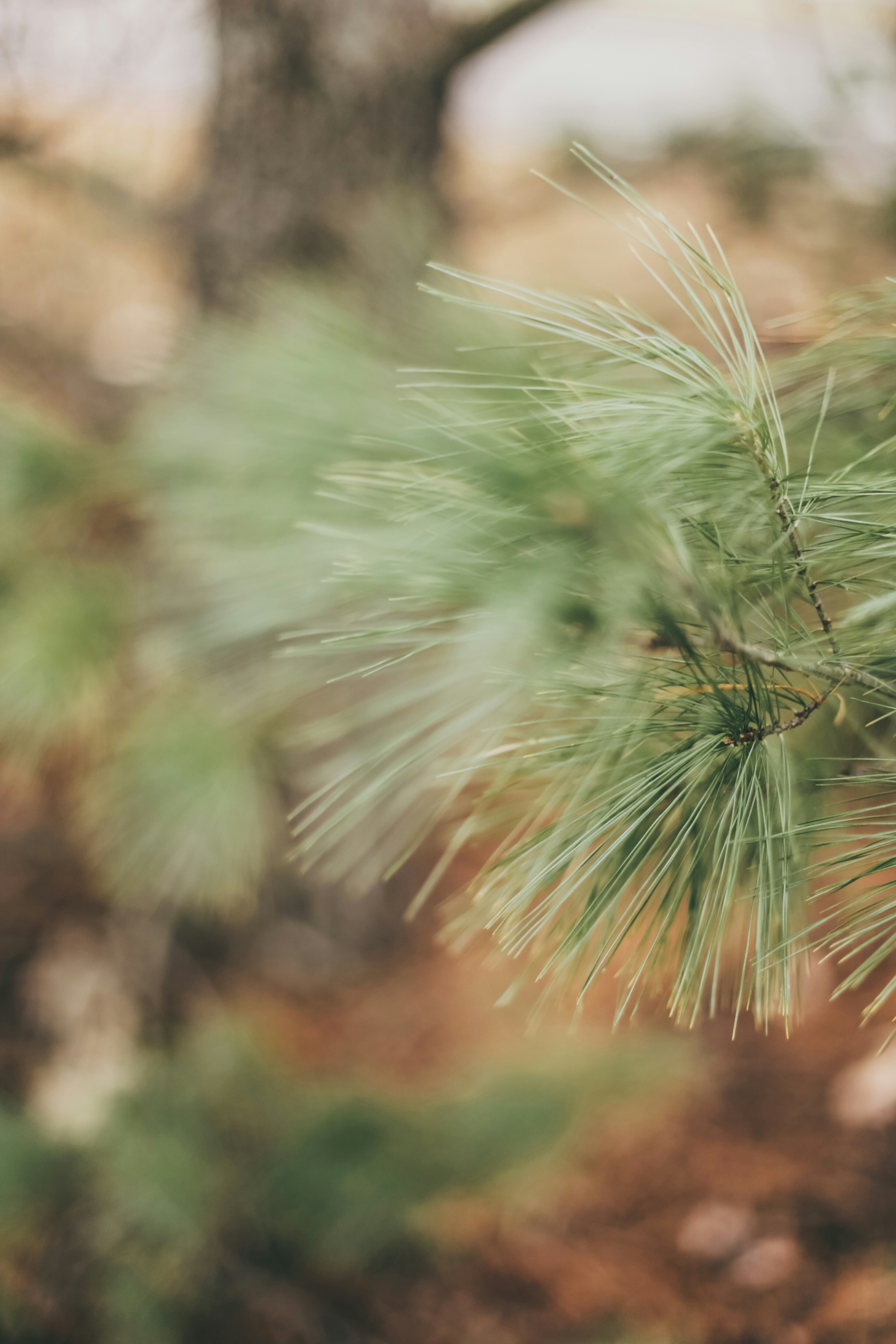 Photo by jessicalfadel