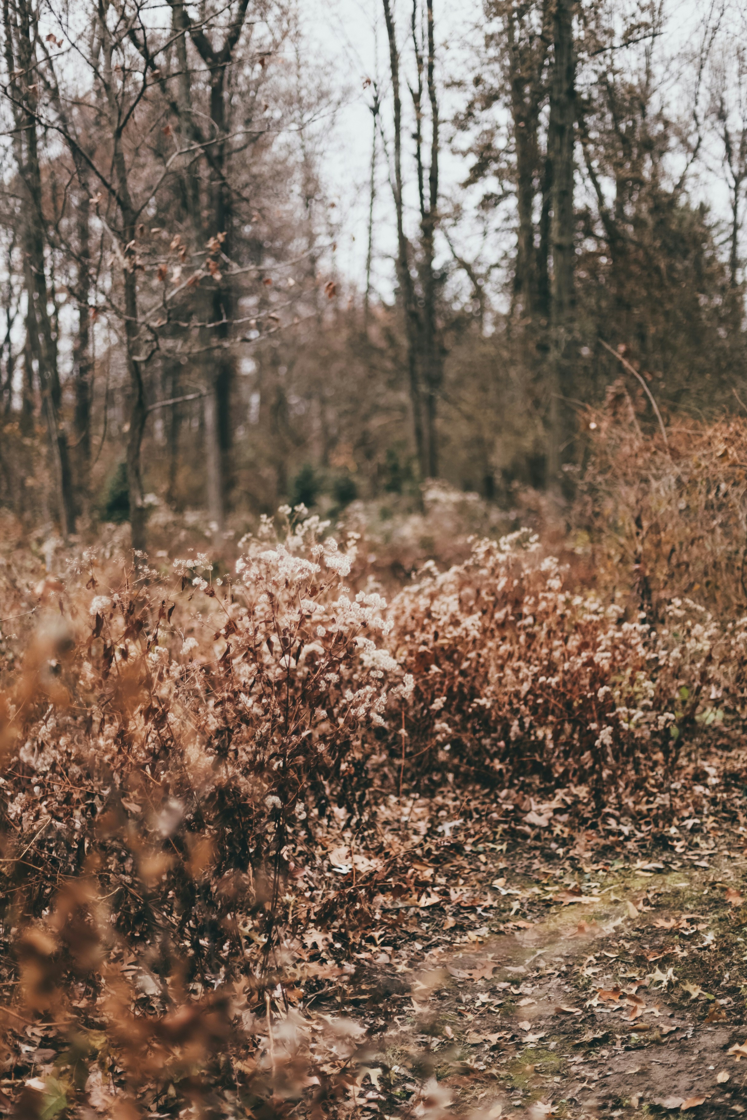 Photo by jessicalfadel