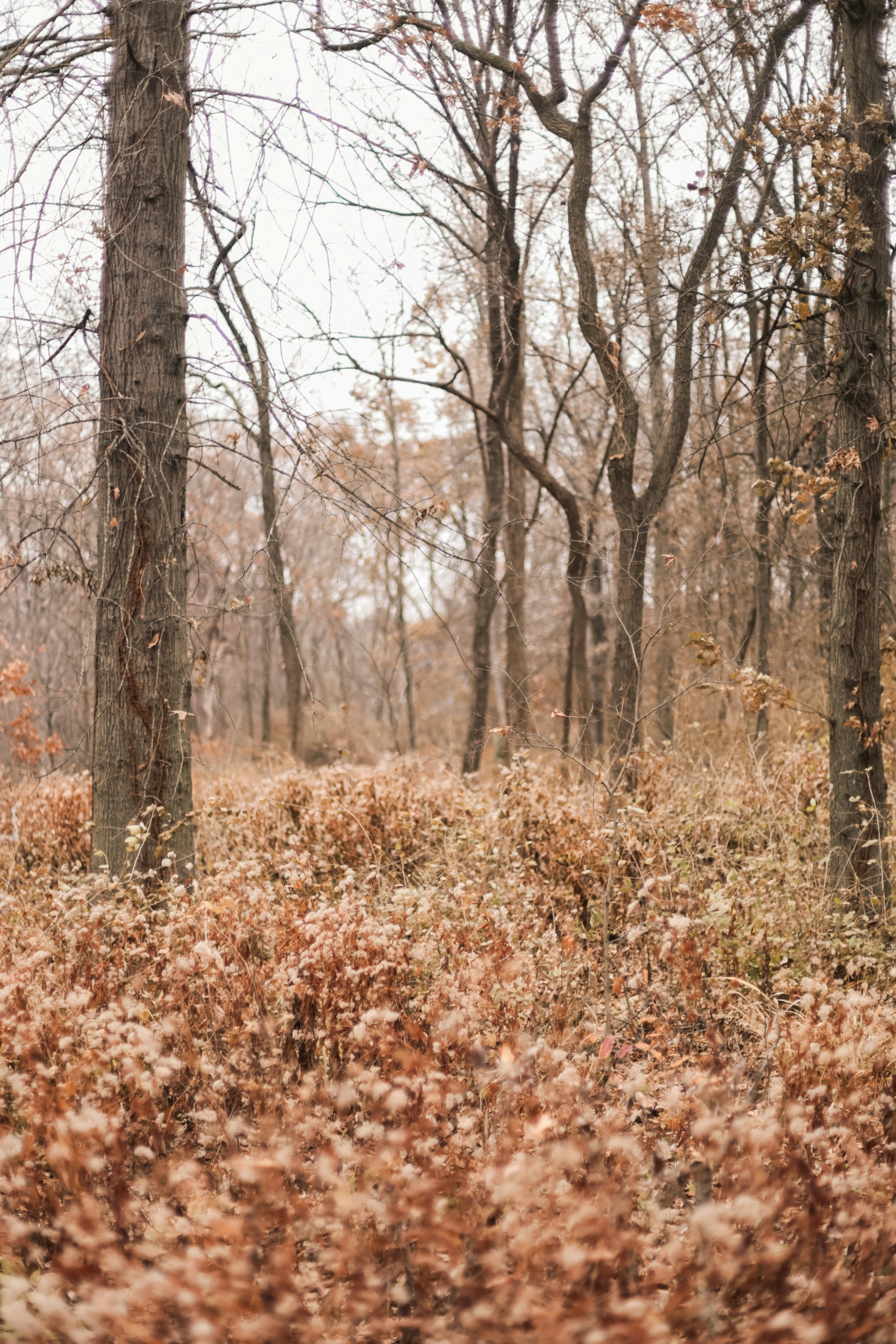 Photo by jessicalfadel