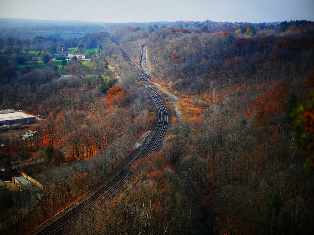 Fotografía aérea de carretera entre árboles