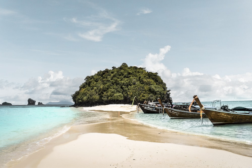 gray boats on shore