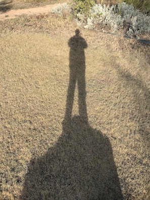 A wide shot of an outdoor location used for filming, with natural light casting long shadows.