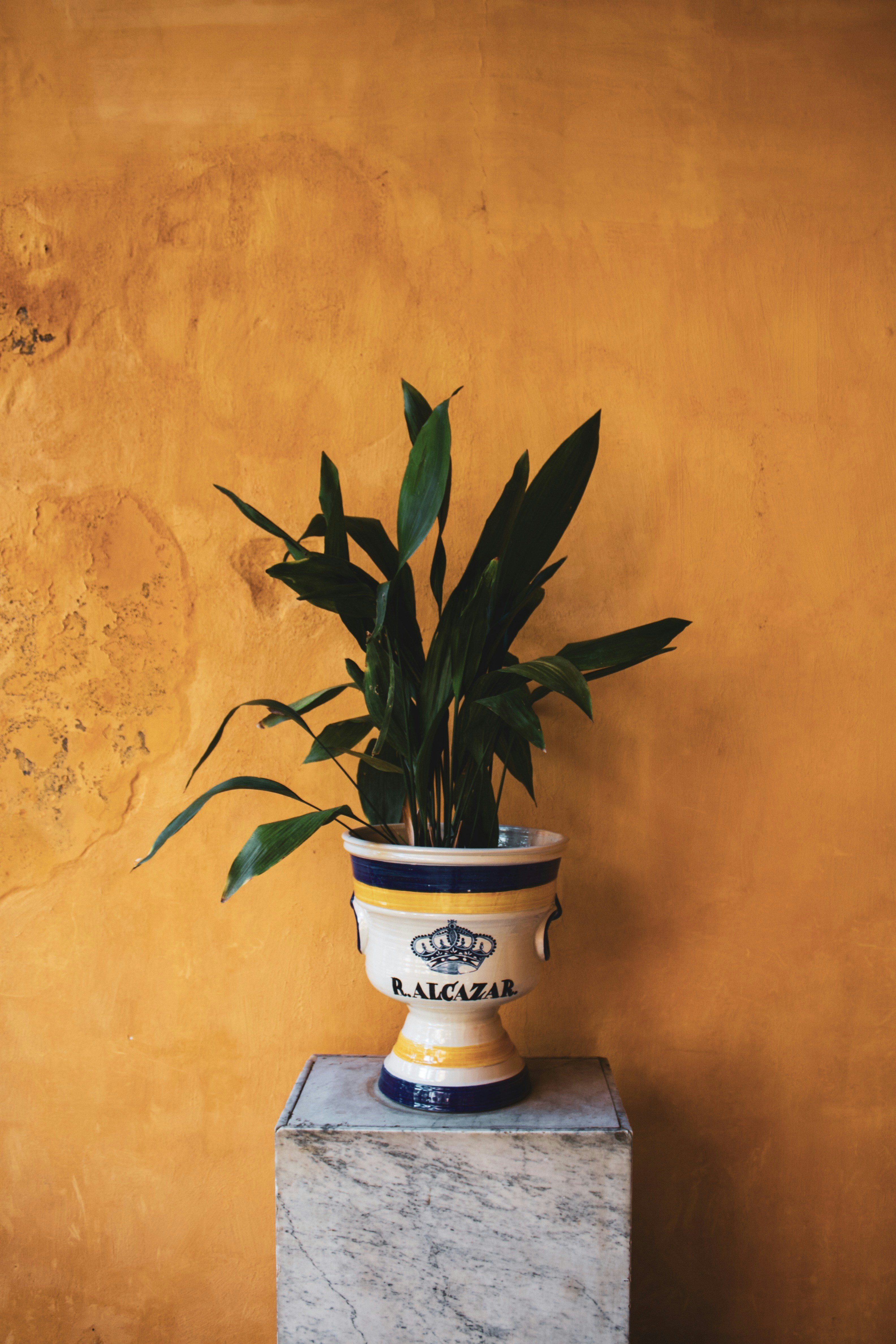 Photo by marknealphoto