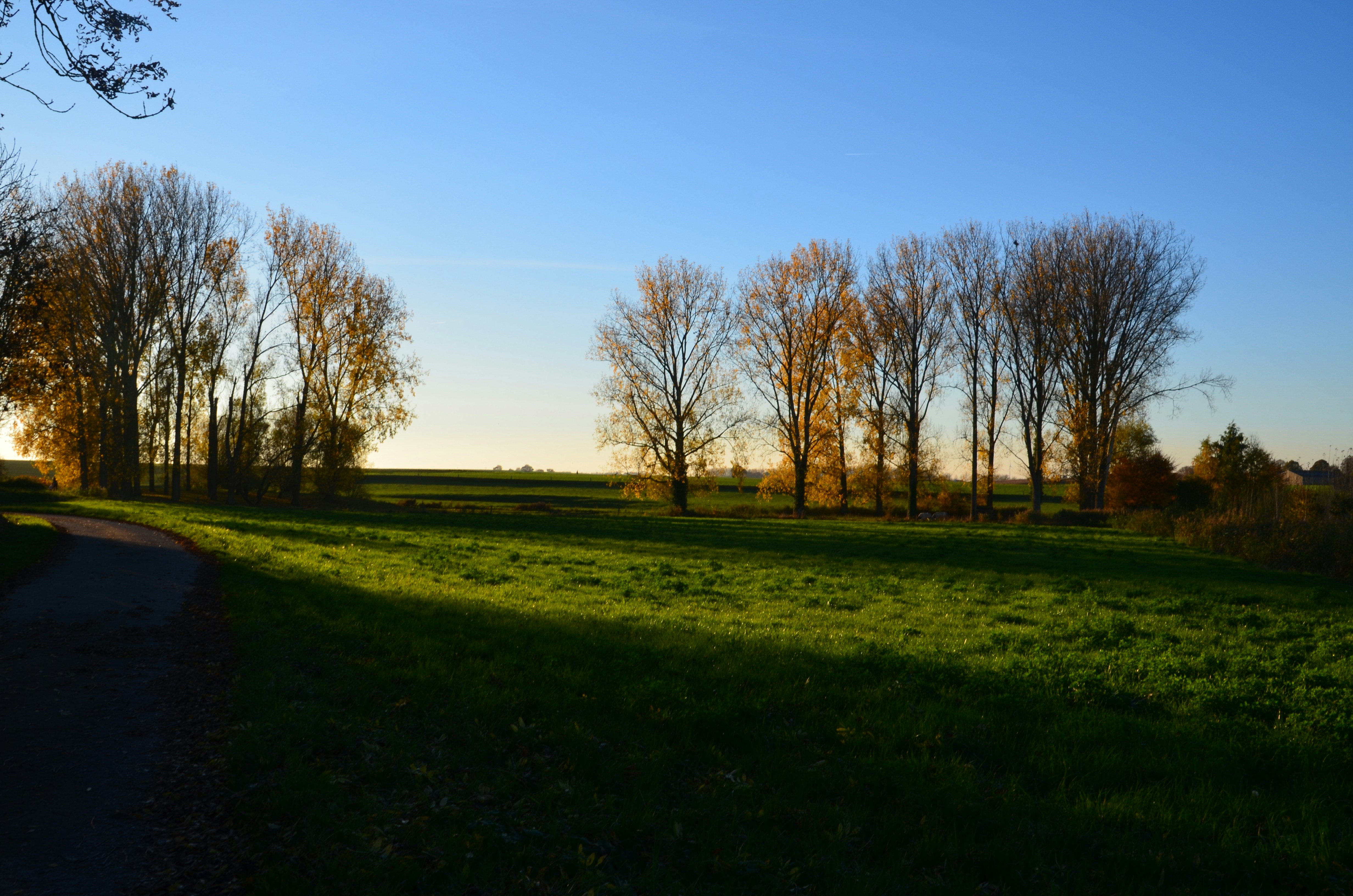 Photo by descampscha