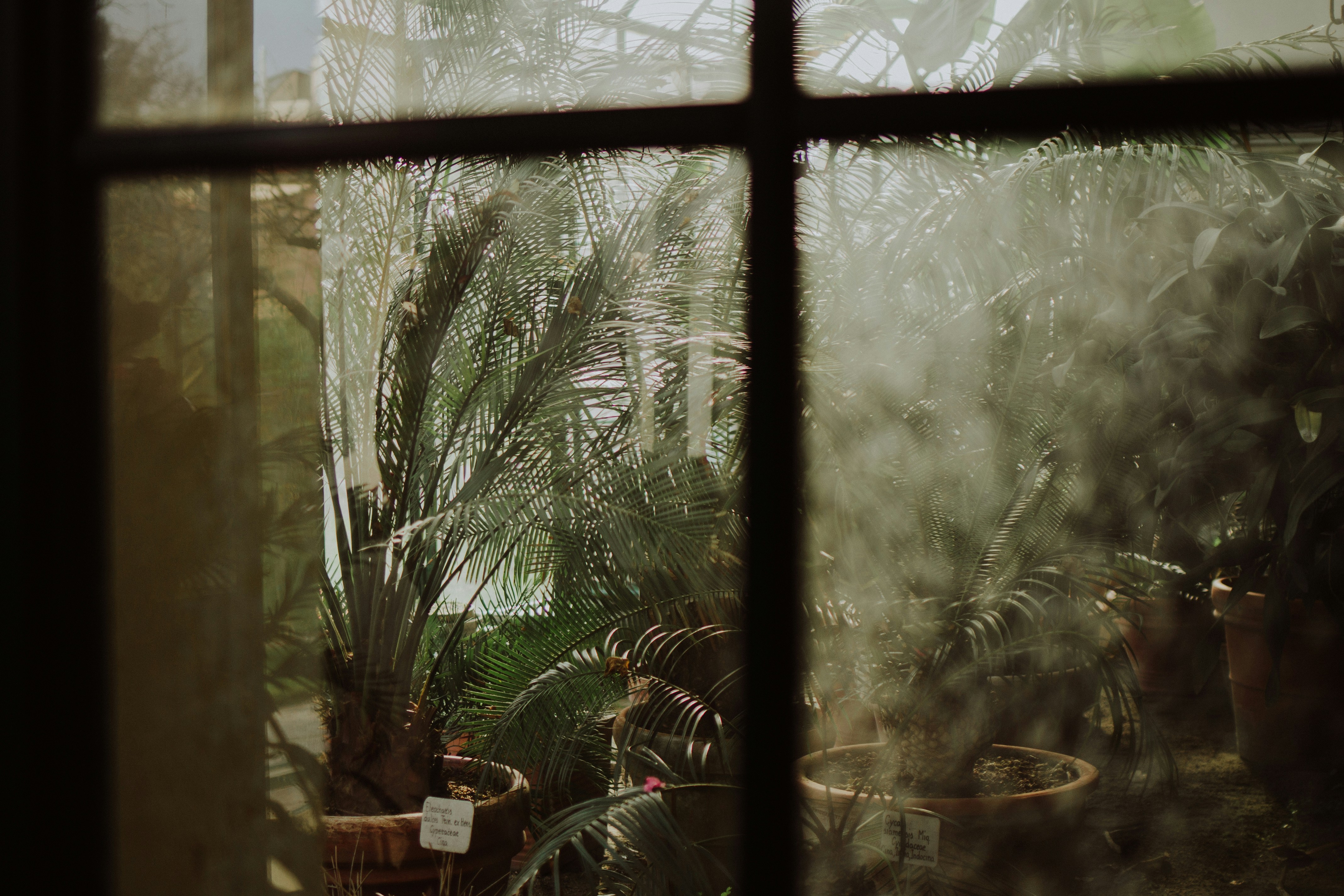 Photo by jessicafavaro