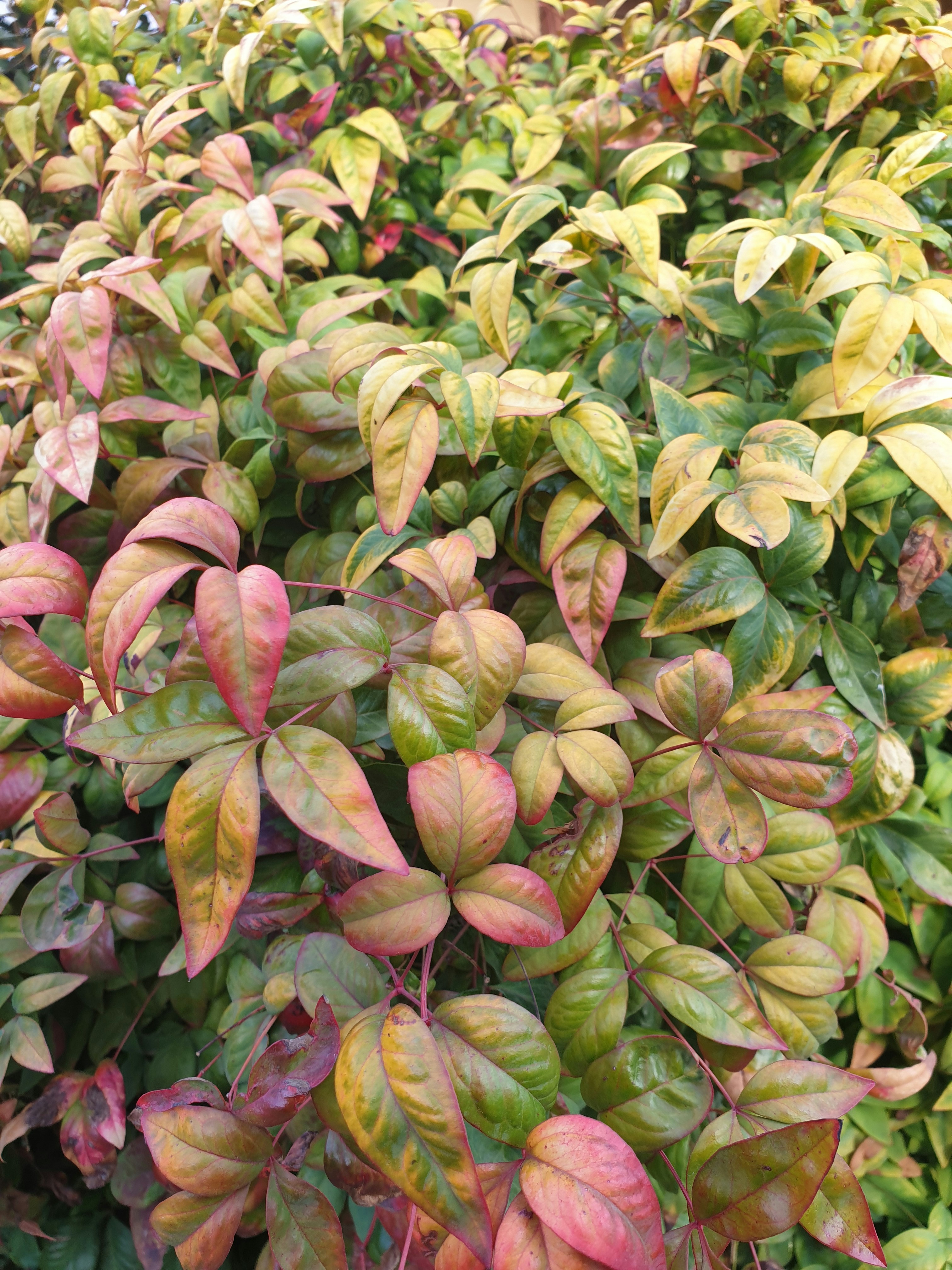 Photo by reneeconoulty