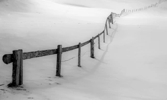 Minimalist black and white image of a modern wood fence bordering a manicured lawn.