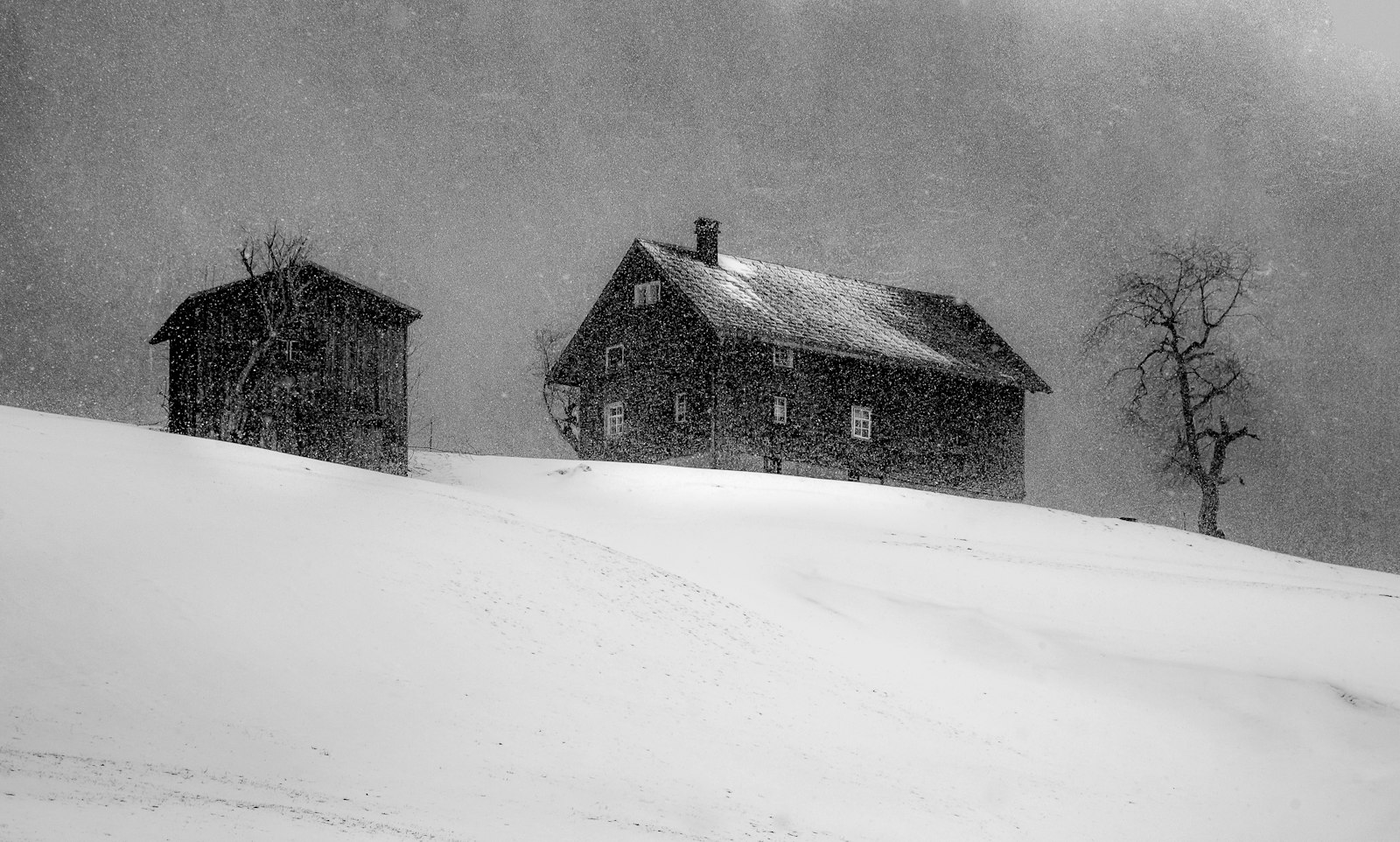 Black-and-white photo of a row of houses half hidden by blowing snow in a blizzard