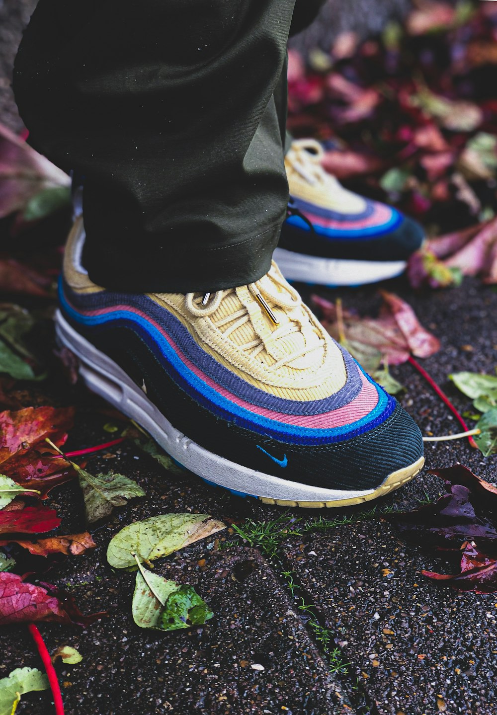 selective focus photography of person wearing black-and-multicolored Nike shoes