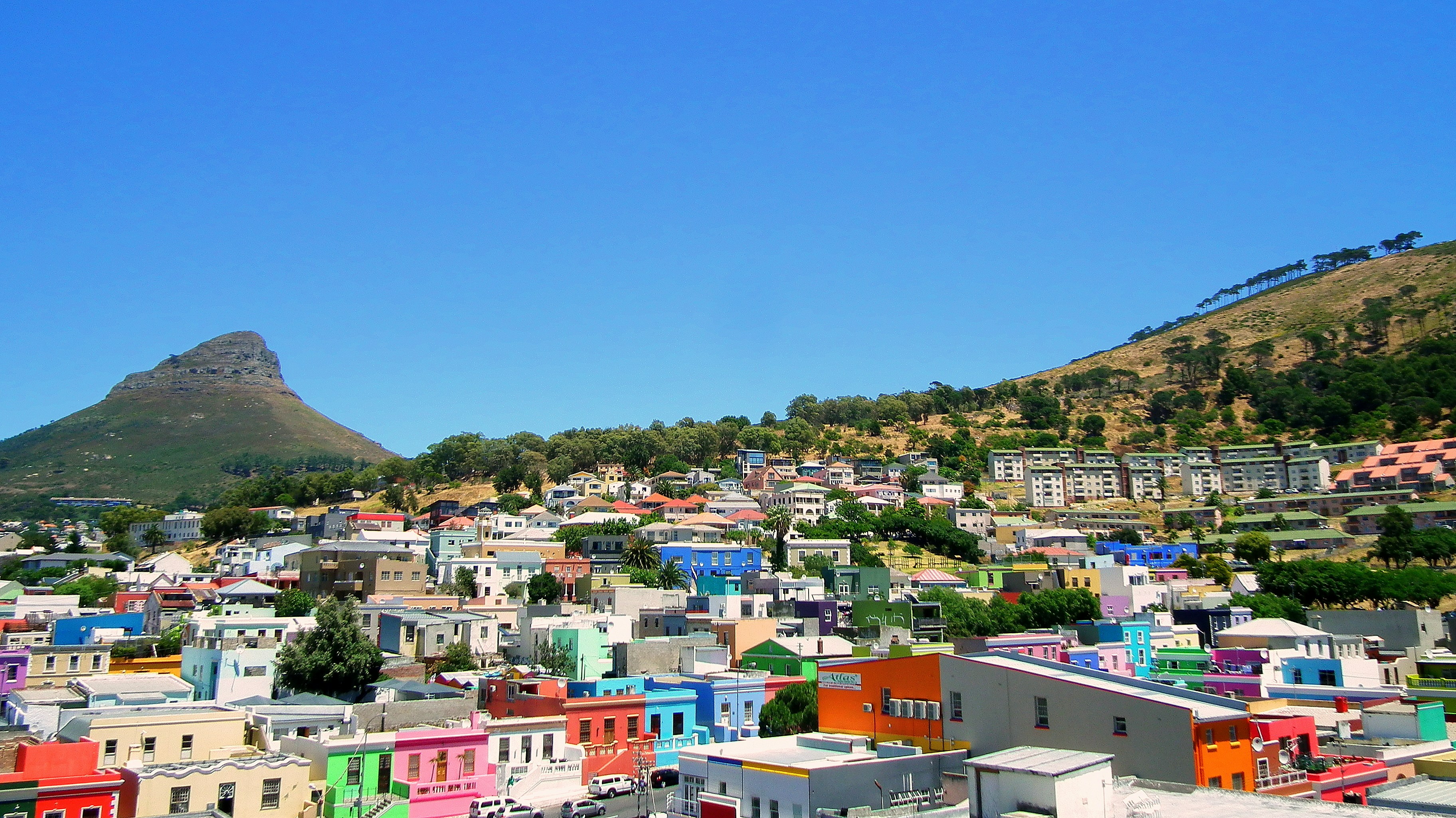 A vibrant neighborhood view in Hyderabad.