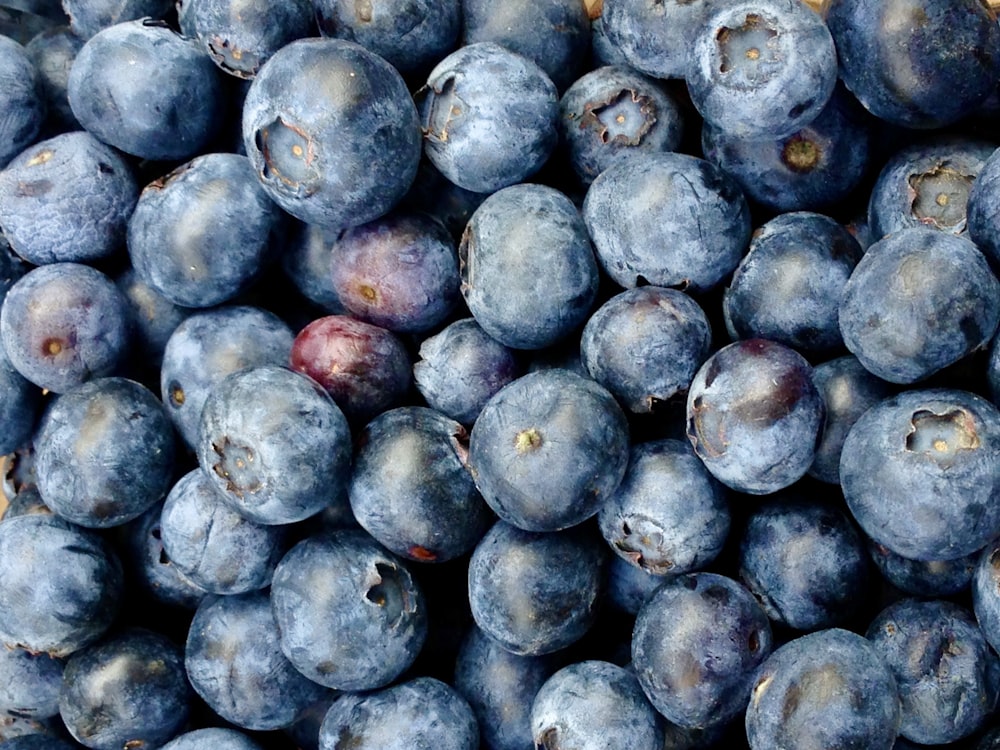 pile of blueberries