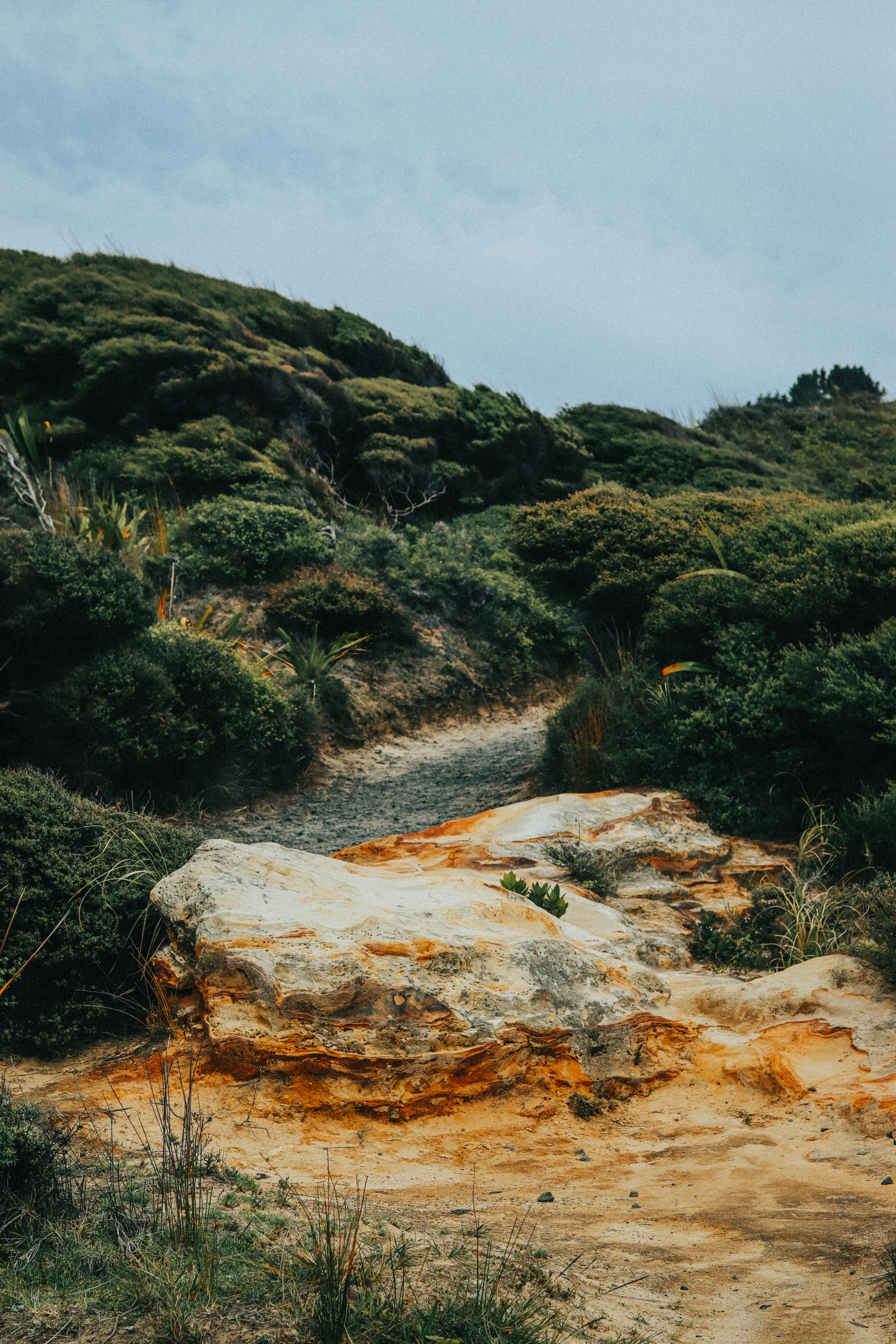 Photo by muffinrozendal