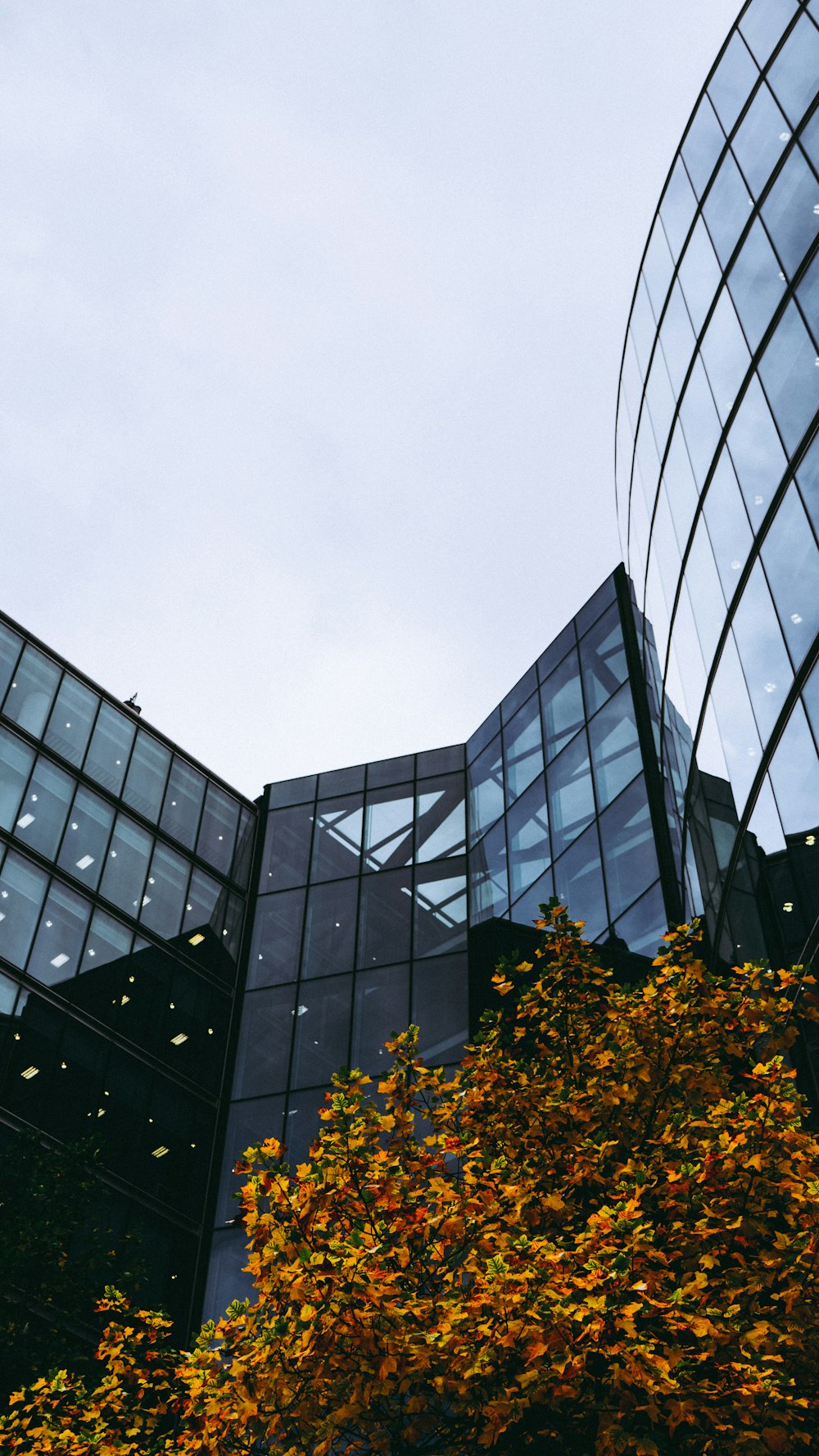 low angle photography of glass-curtain buildings during daytime