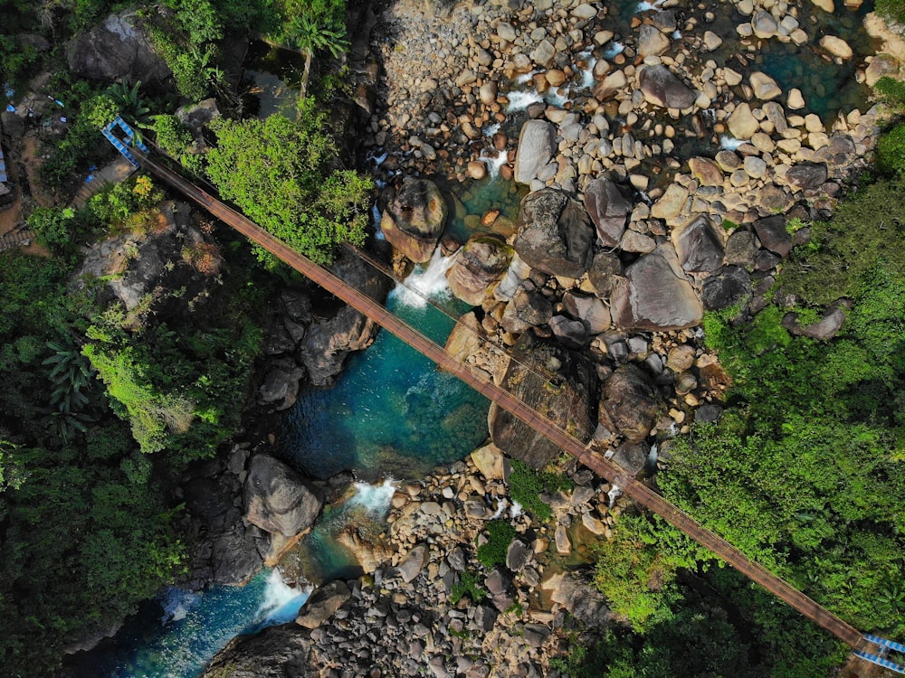 bird's eye view photography of bridge