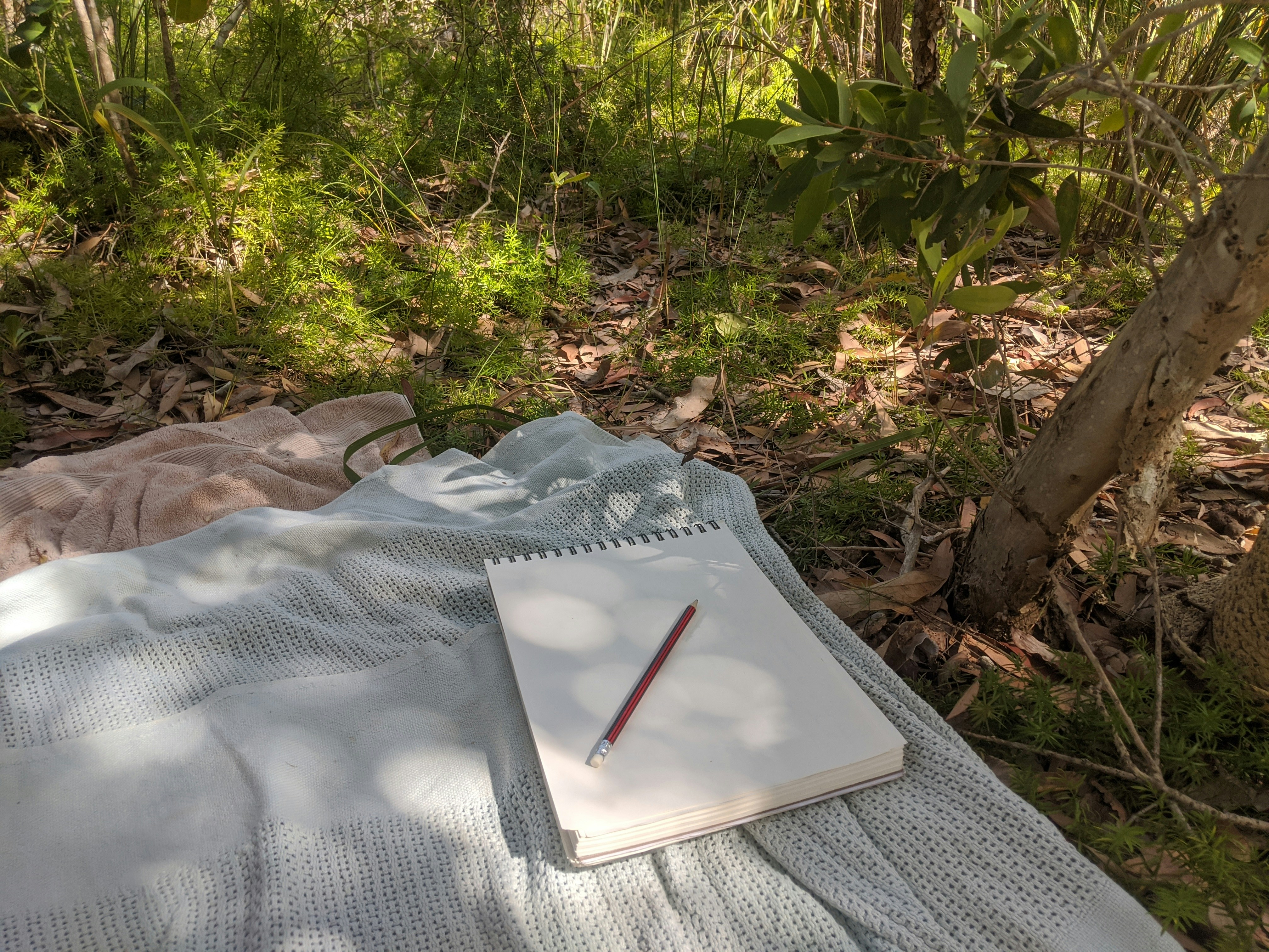 photo 1574840446478 ff4d976863d0?ixlib=rb 4.0