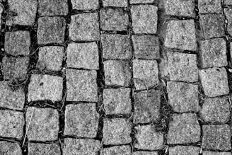 An arrangement of cobblestones in a regular pattern with small gaps in between them. The stones display a rough texture and uneven surfaces, with some grass and soil visible in the crevices.