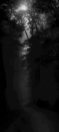 A dimly lit forest path shrouded in mist, hinting at the game's haunting atmosphere.