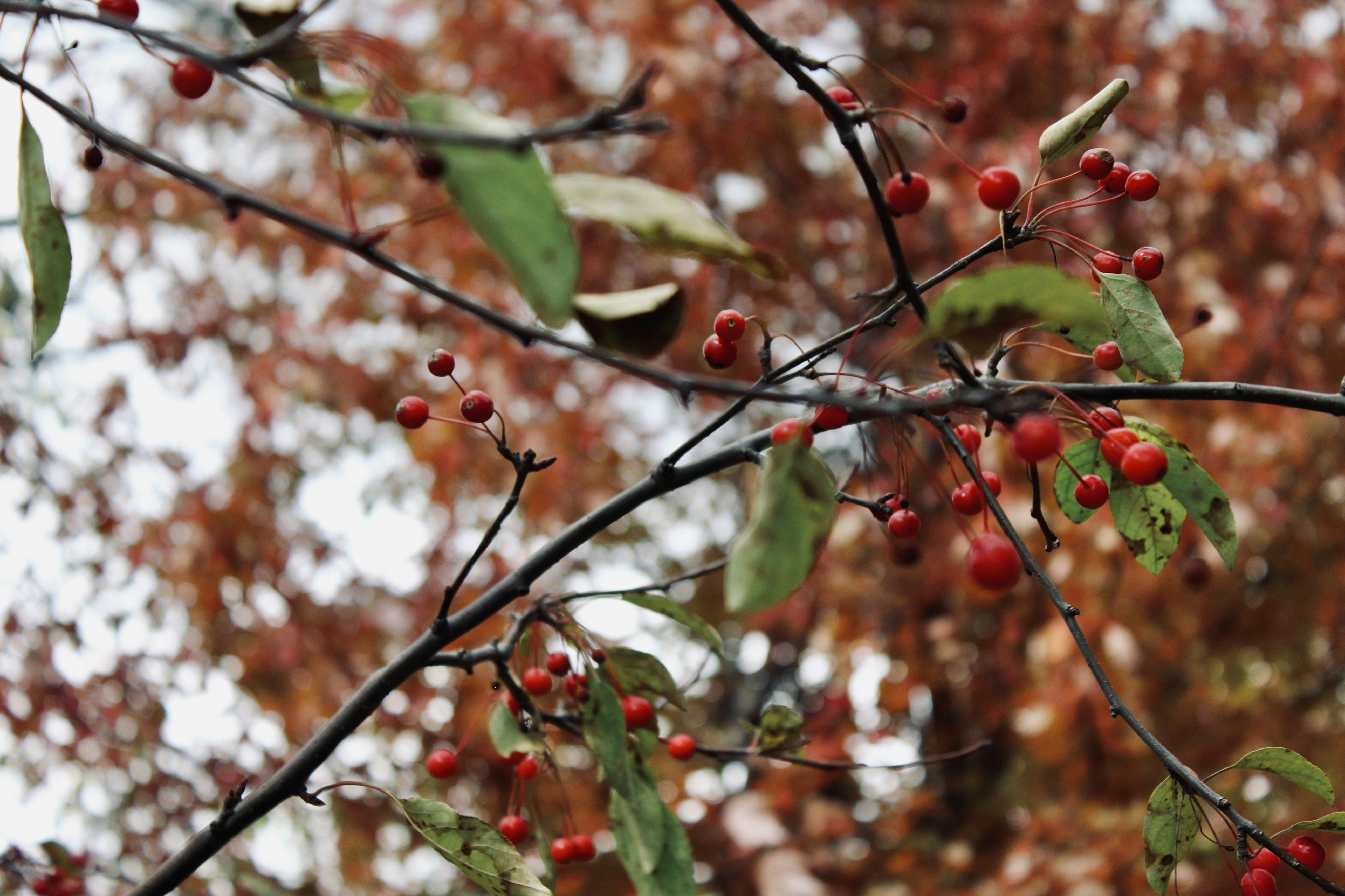 Photo by christina_winter