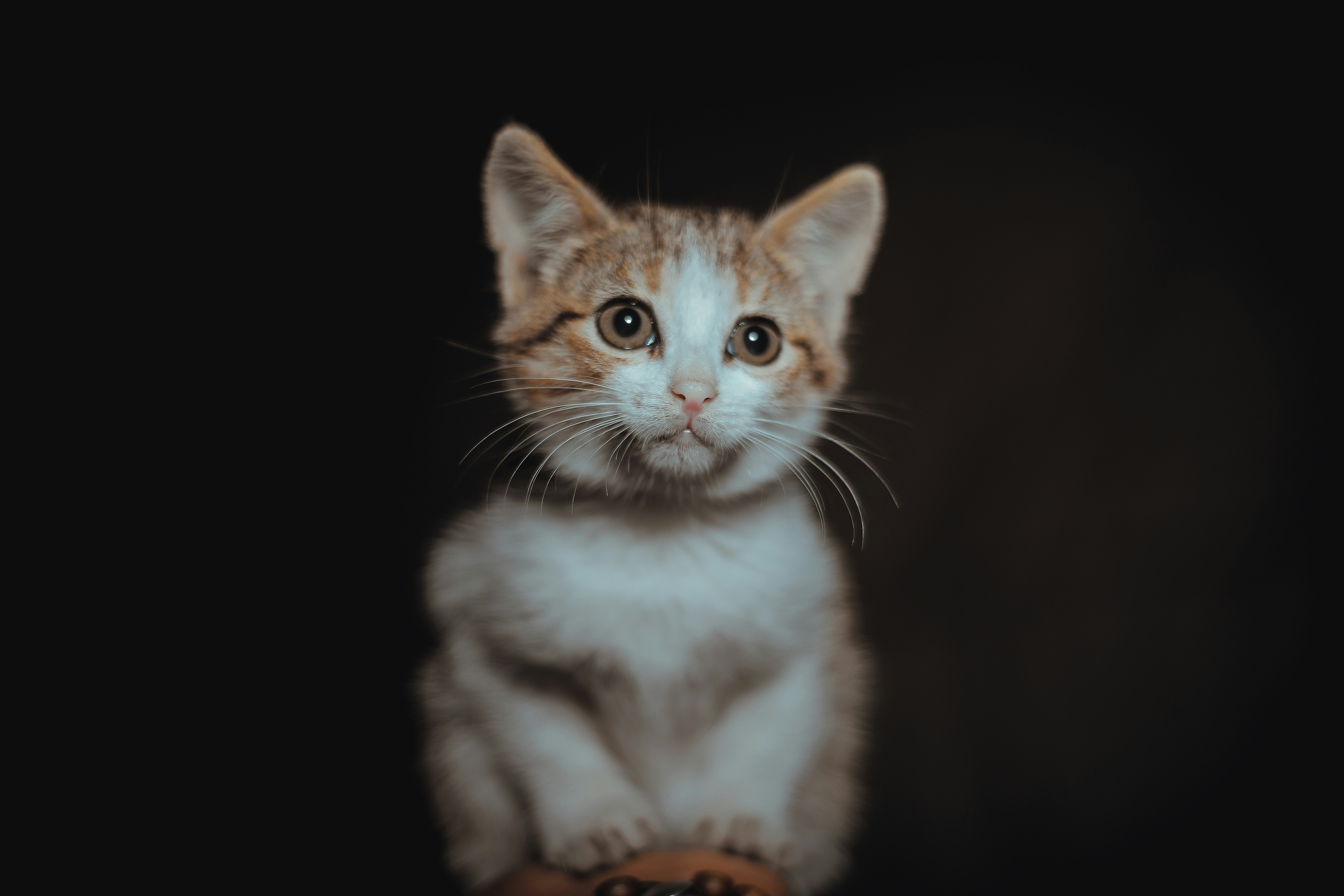 Photo by gift_habeshaw