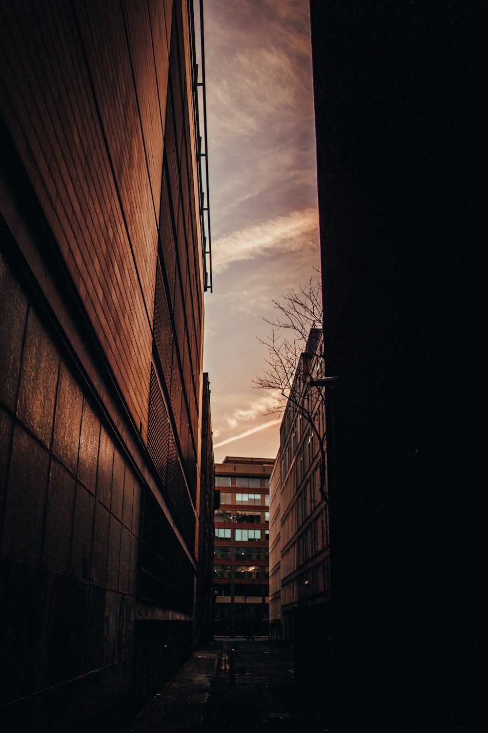 low-light photo of pathway in between of buildings