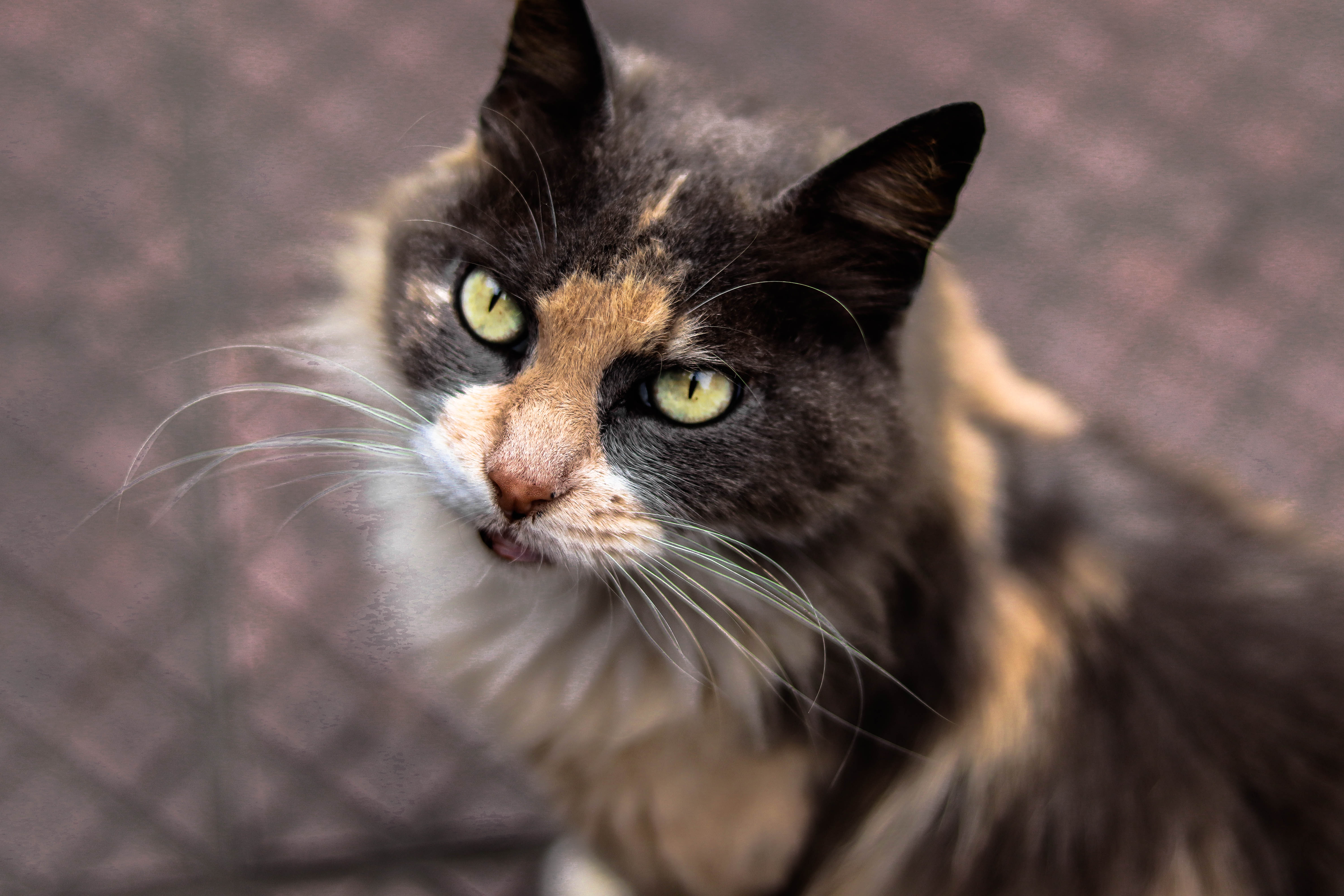 Photo by guille_velard