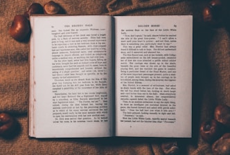 opened book